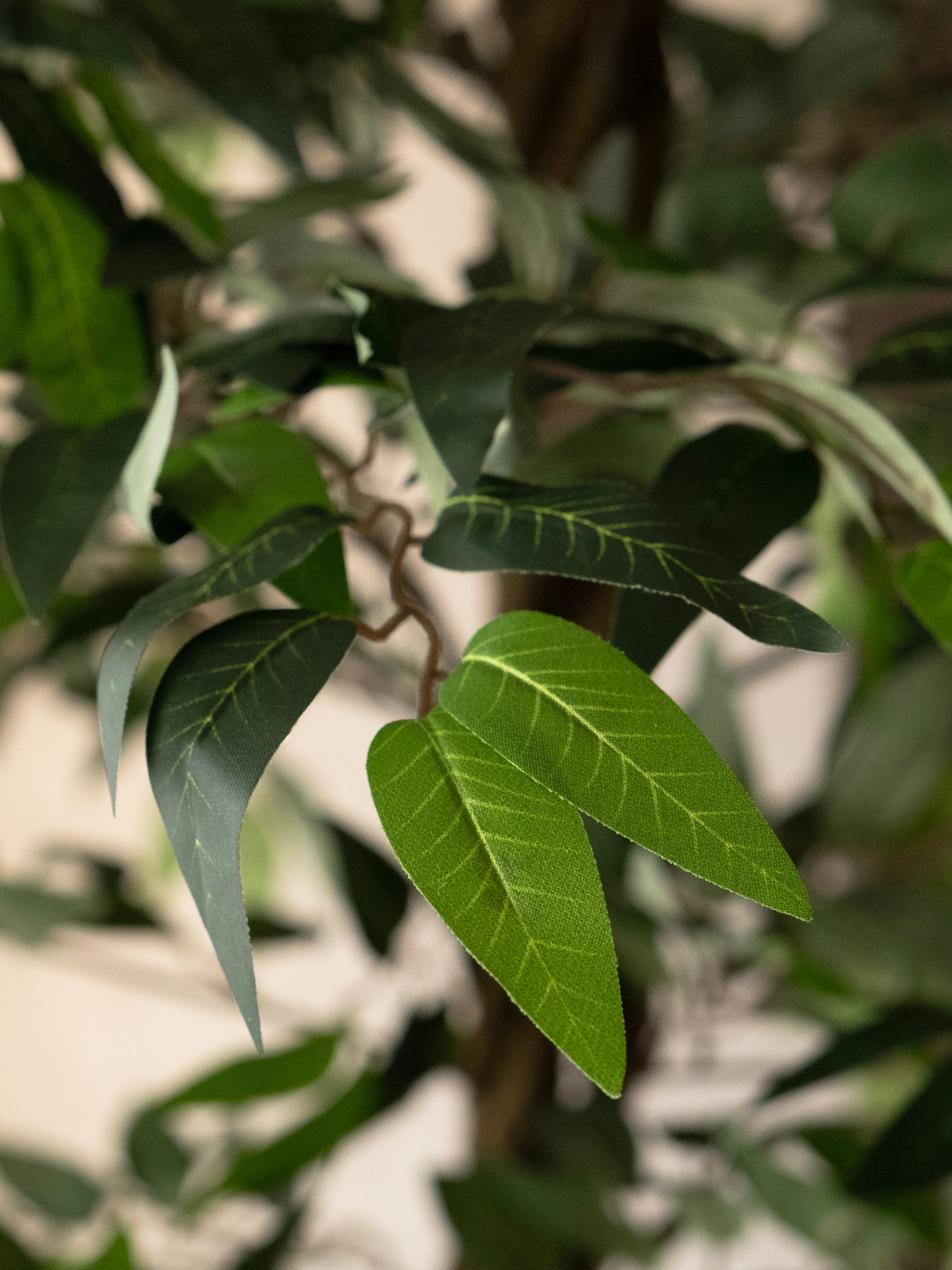 Artificial Eucalyptus Tree 5.5ft