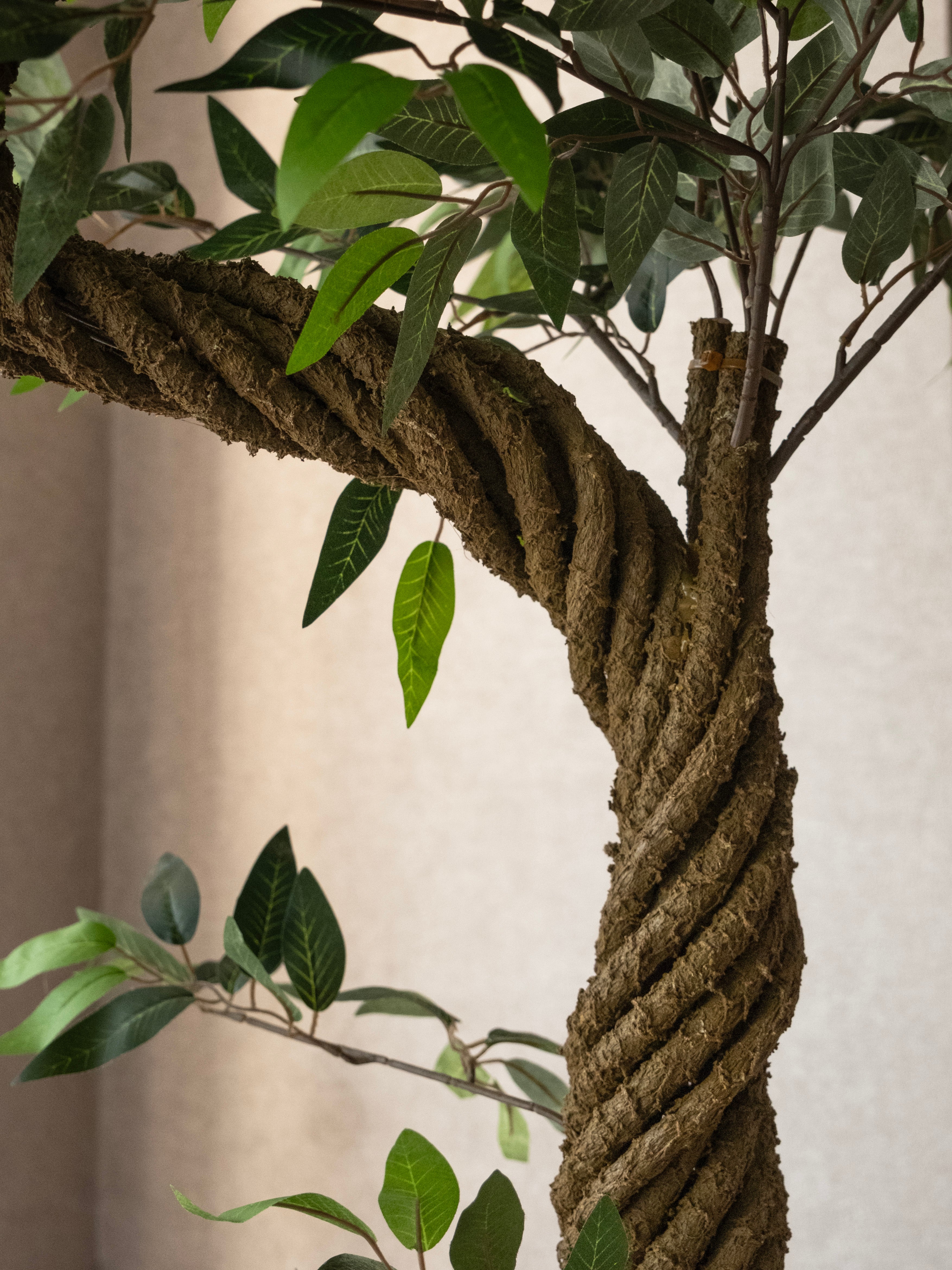 Artificial Eucalyptus Tree 5.5ft