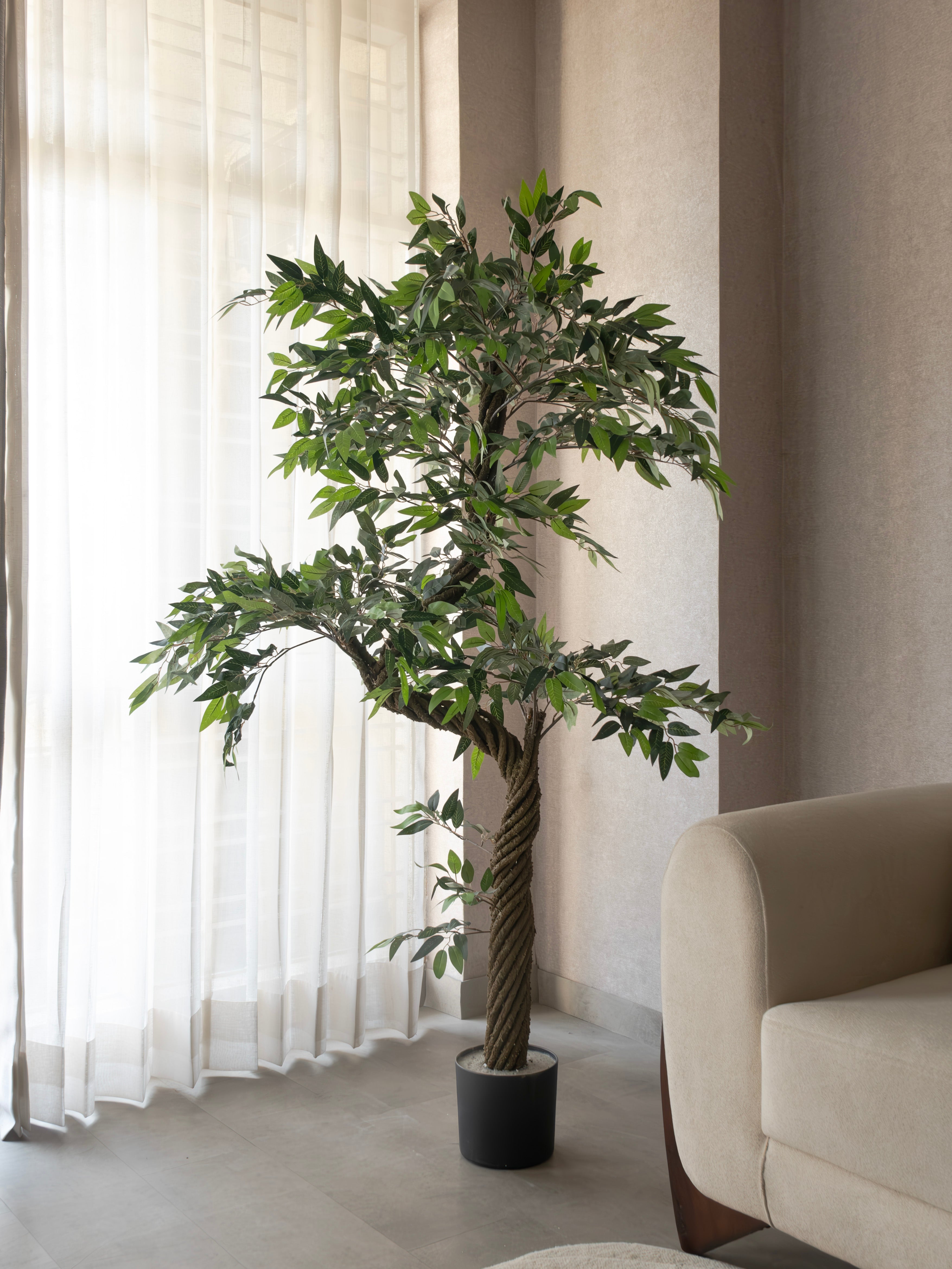 Artificial Eucalyptus Tree 5.5ft