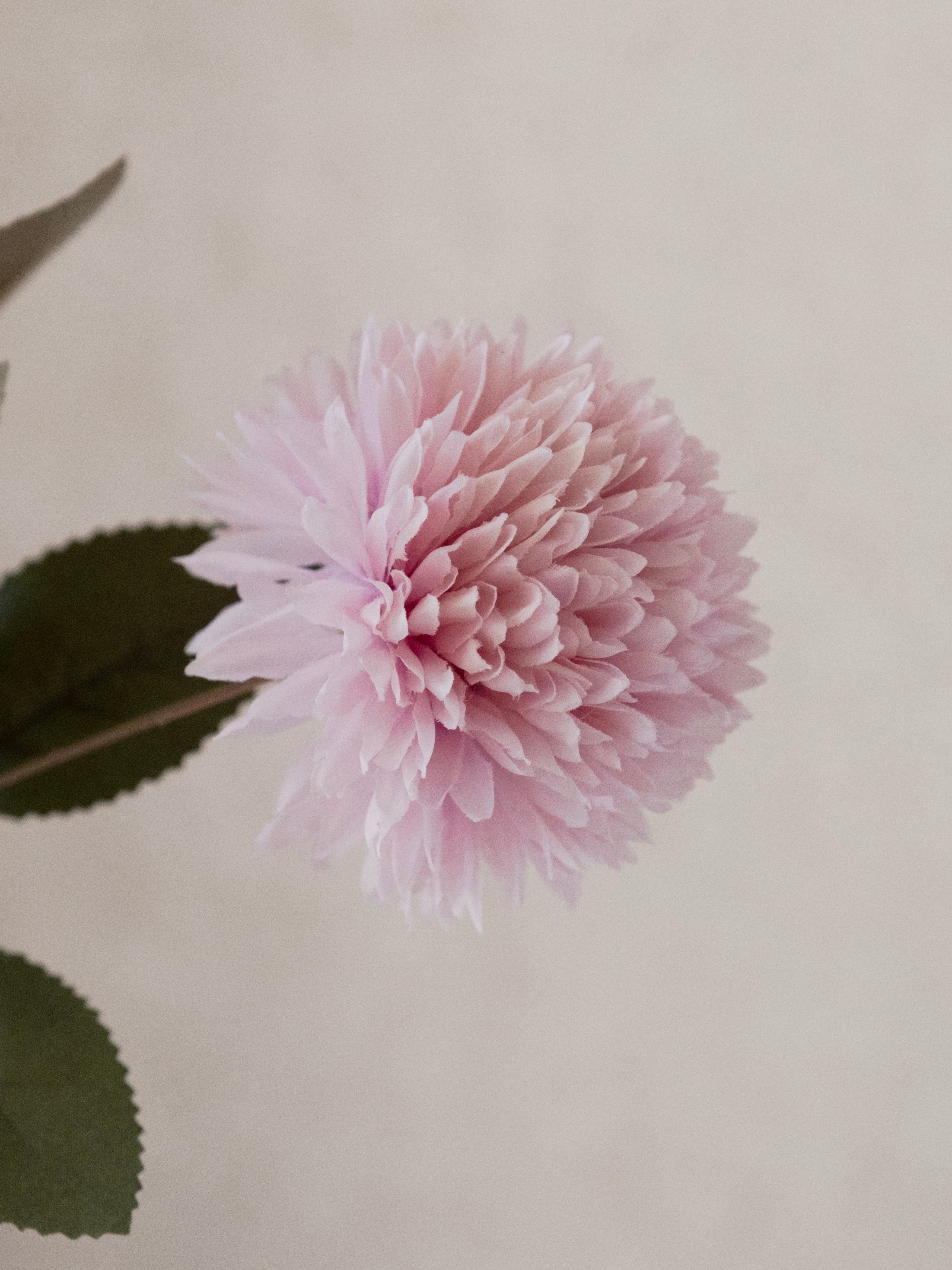 Artificial Mum Flower Bunch