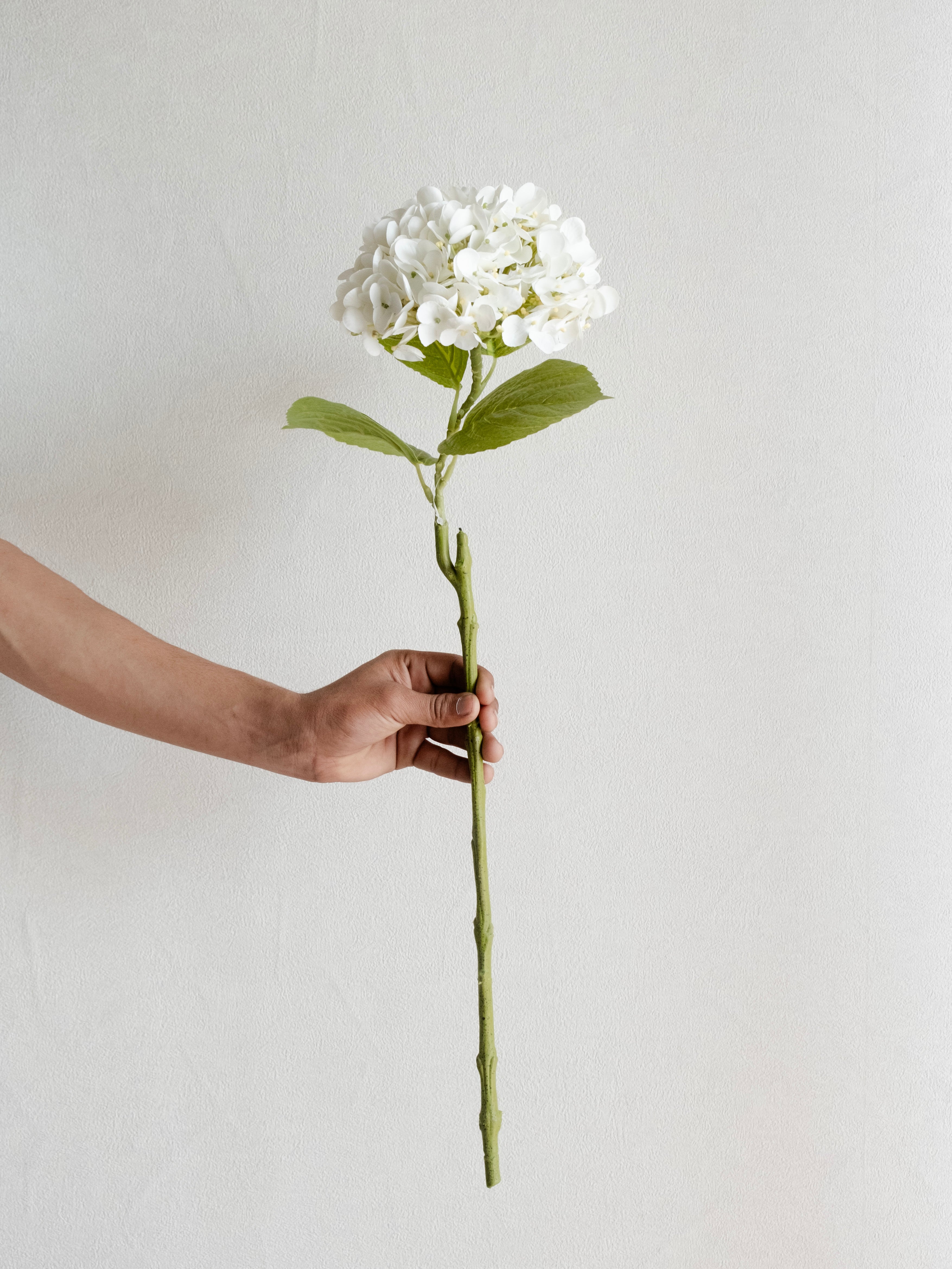 Artificial White PU Hydrangea Flower Stem