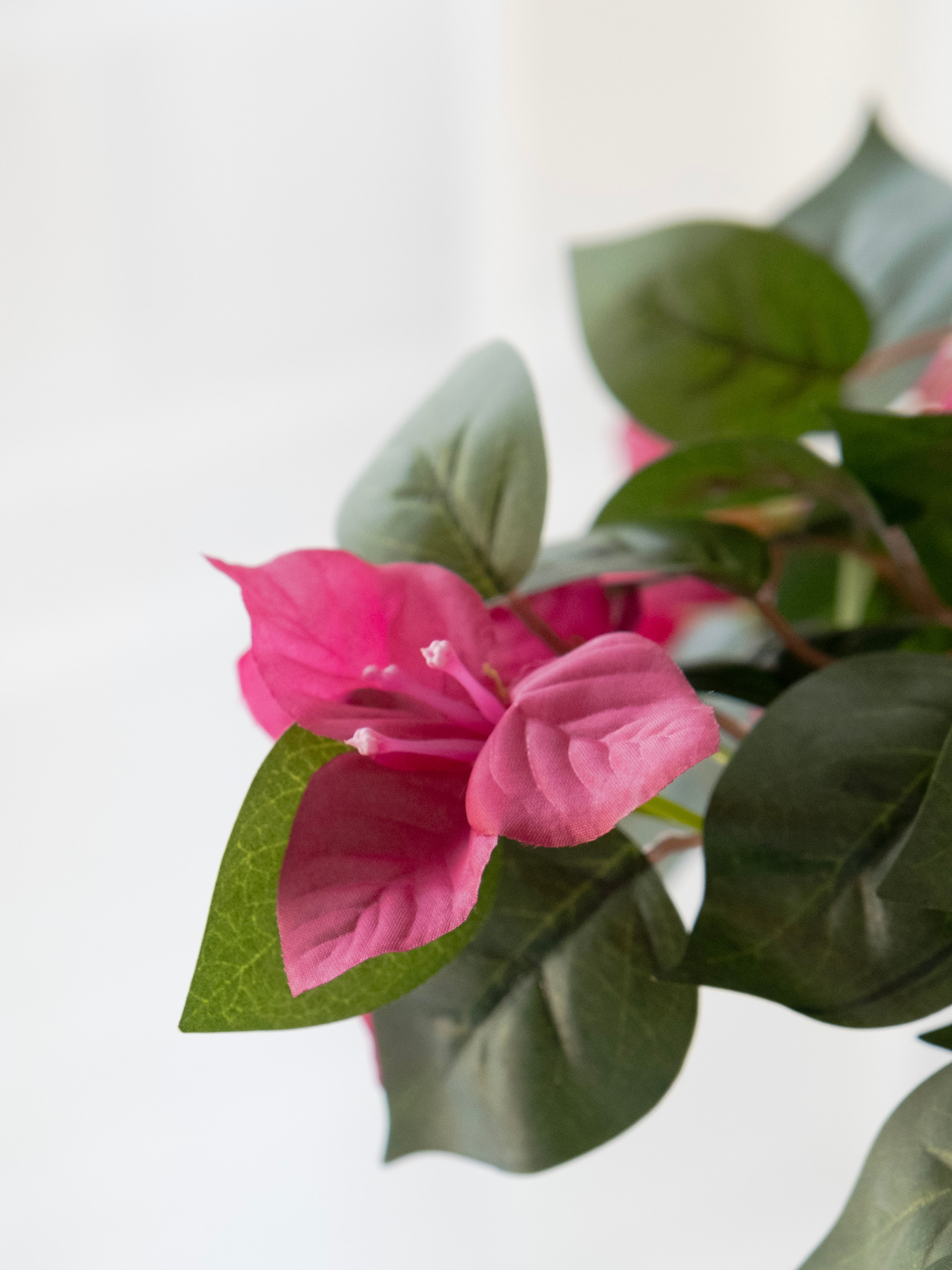 Artificial Bougainvillea Tree 5ft