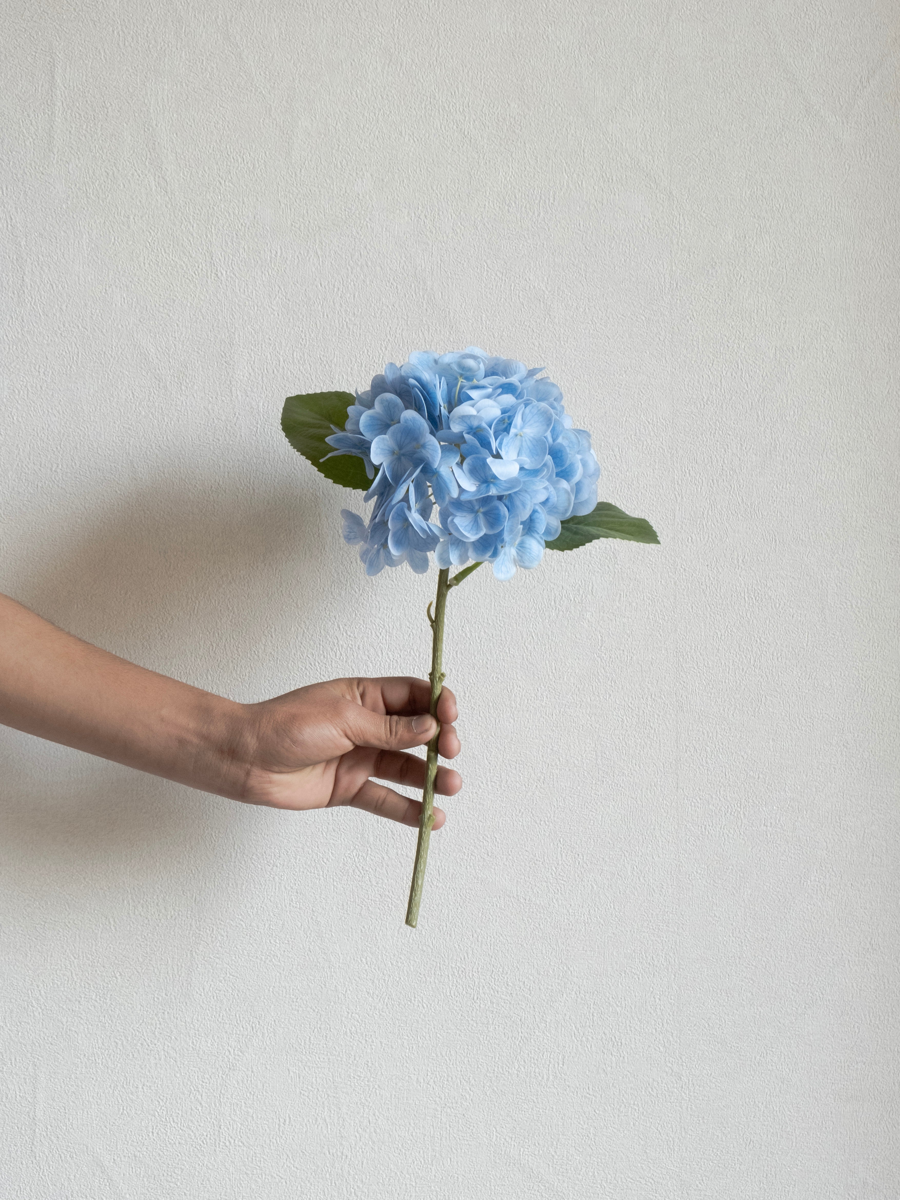 Artificial Hydrangea Flower Stems (Set of 2)