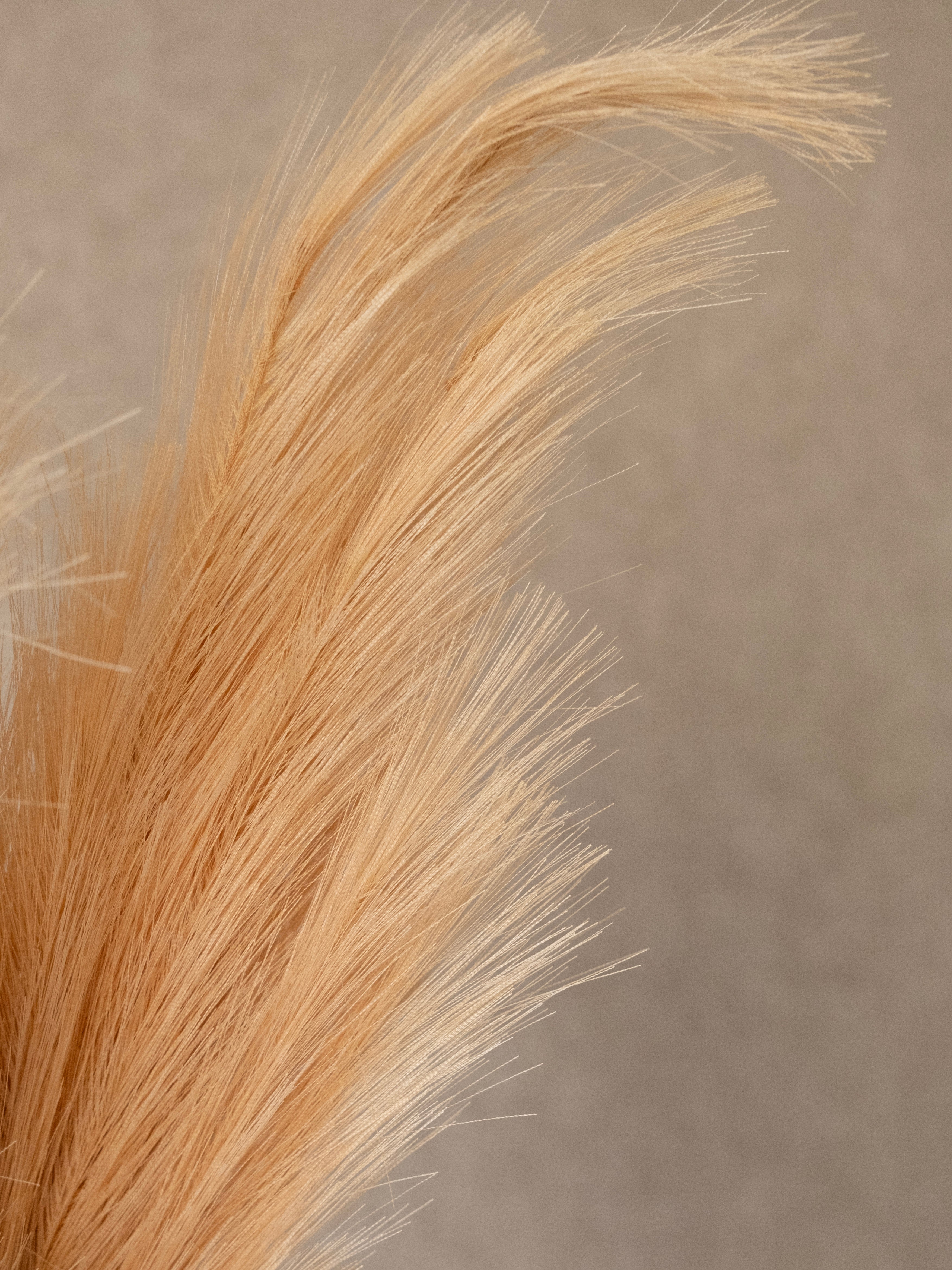 Artificial Pampas Grass stick 117cm