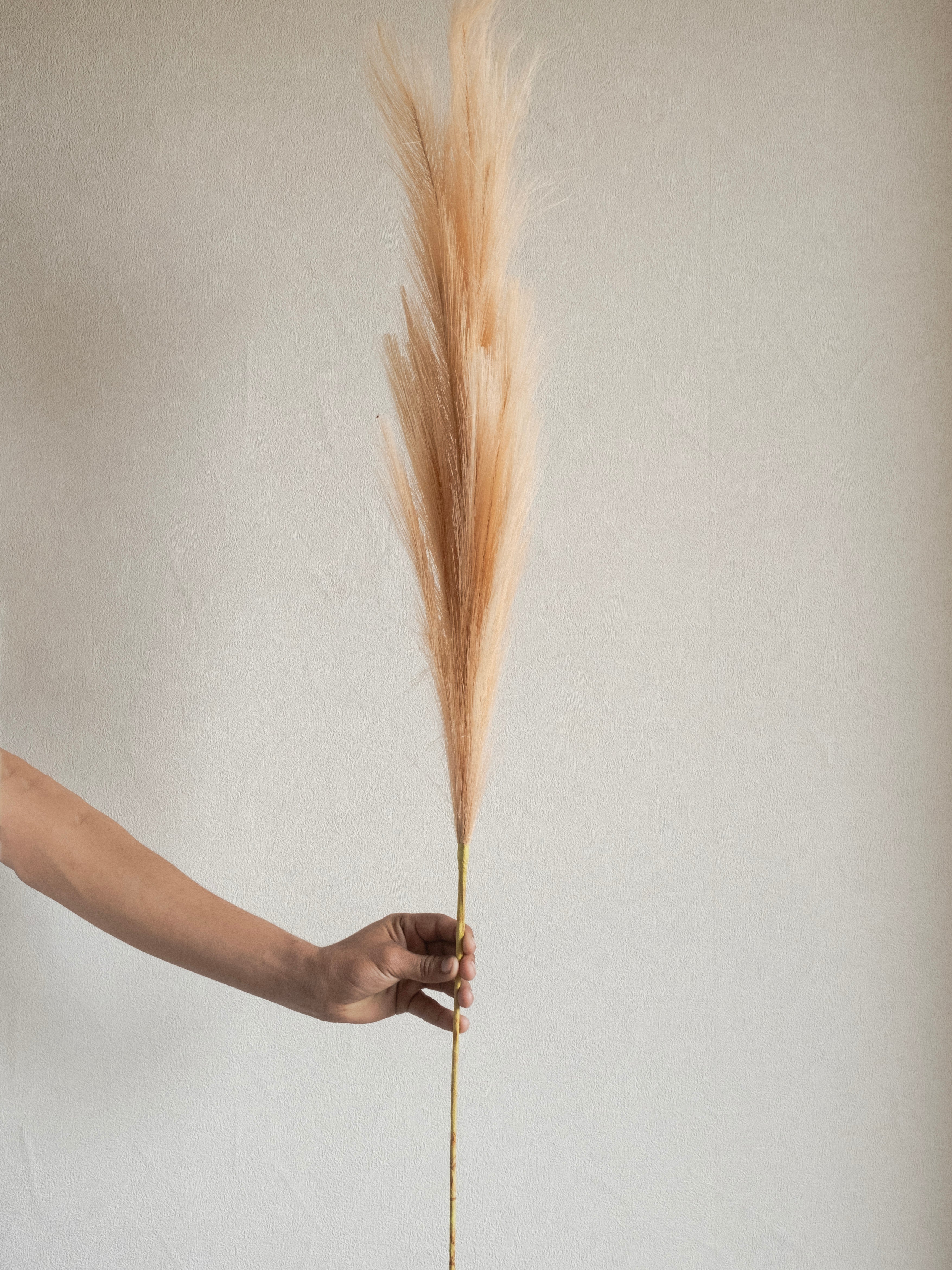 Artificial Pampas Grass stick 117cm