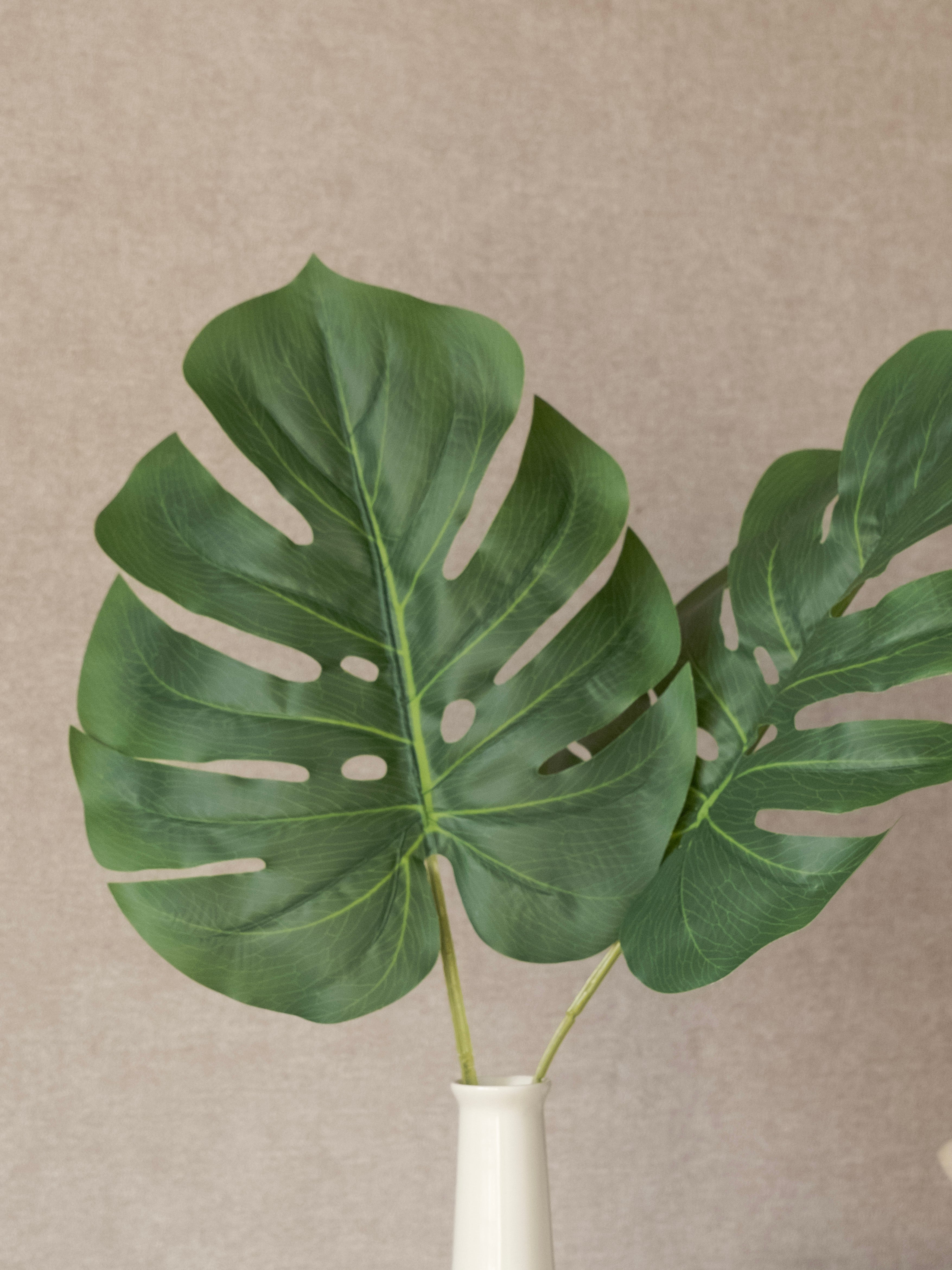 Artificial Big Monstera sticks (Set of 2)