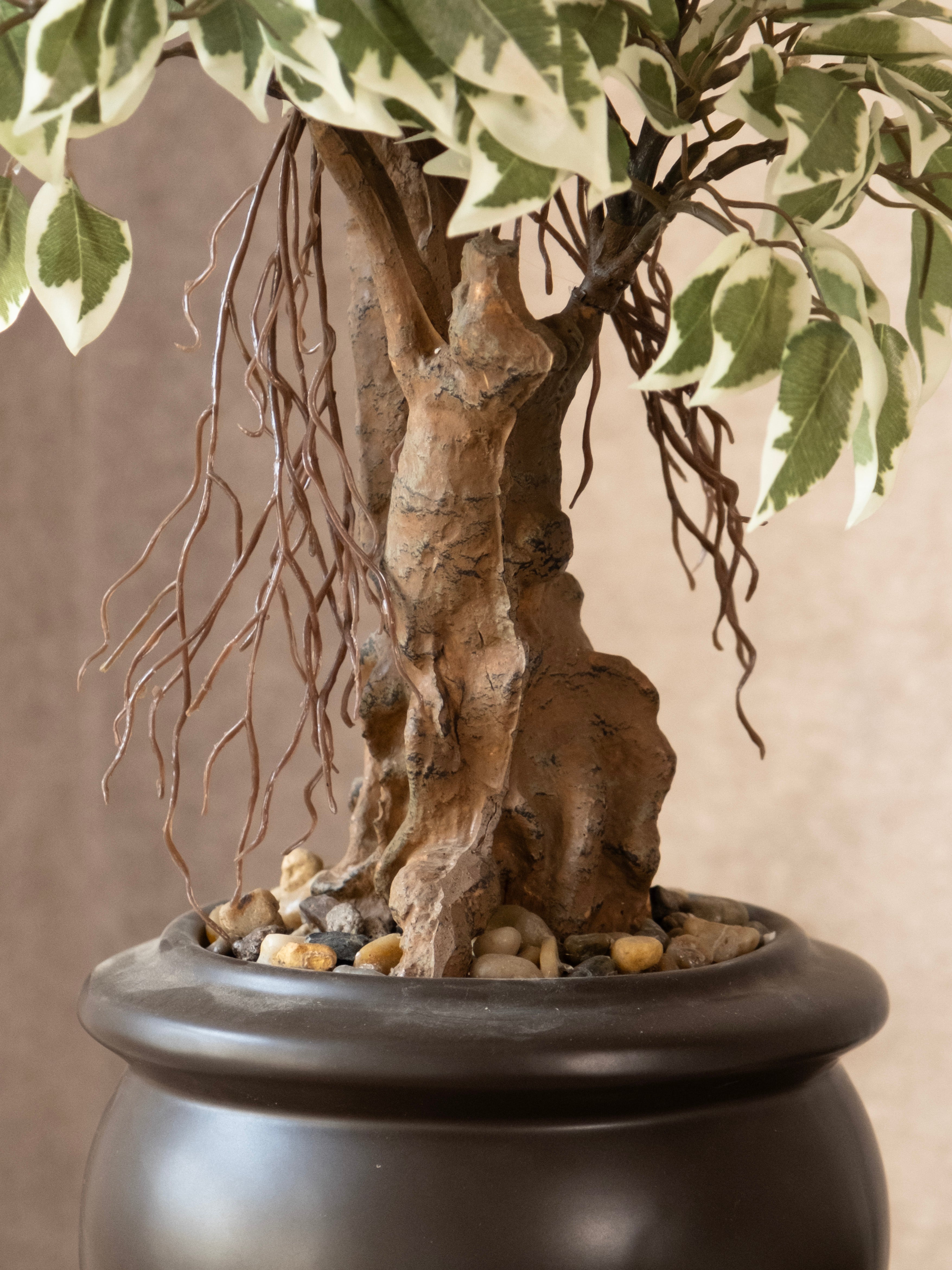 Artificial Variegated Ficus Leaf Bonsai 2ft