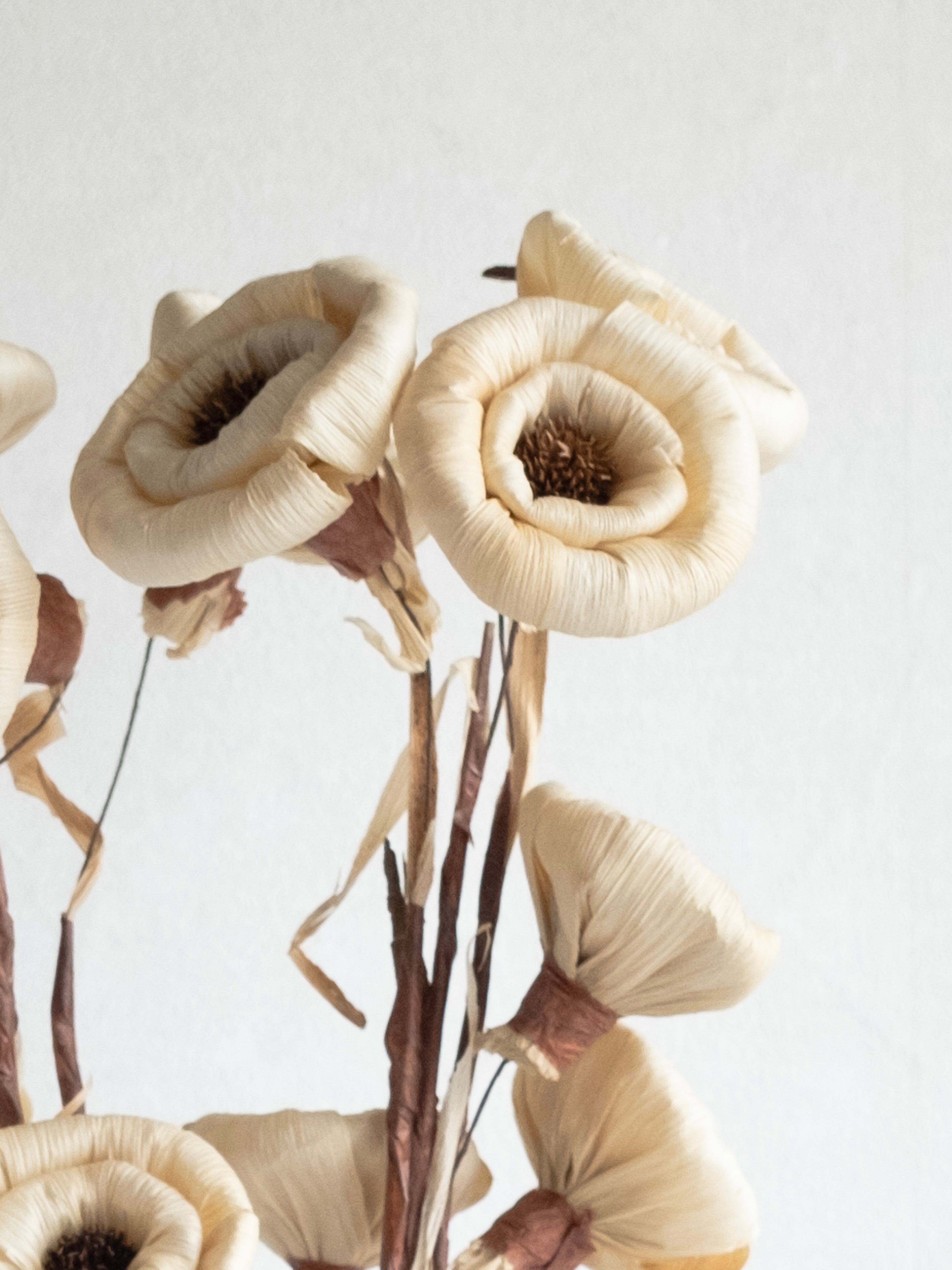 Natural Dried Maize Flower Sticks – Pack of 3