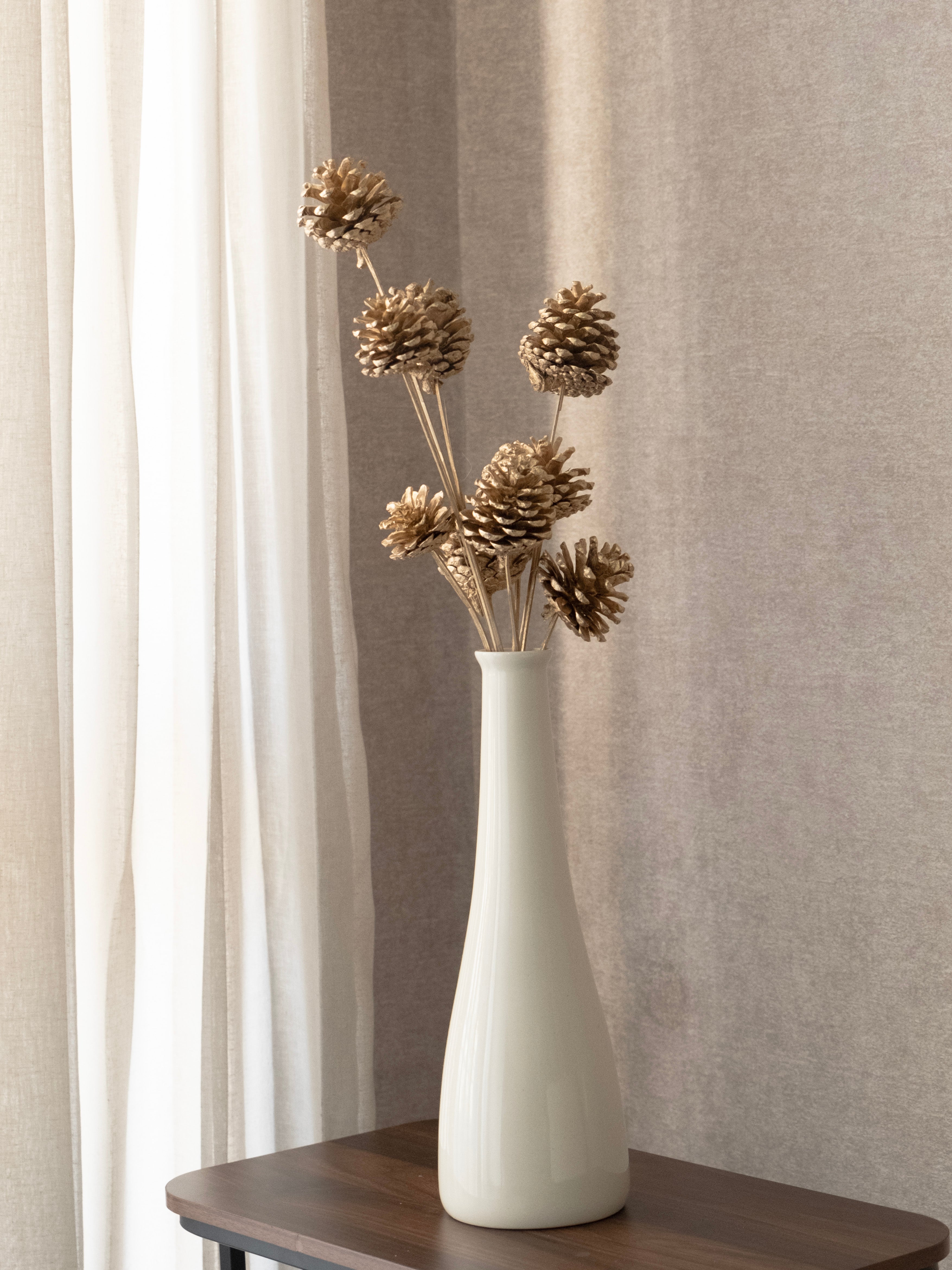 Golden Pine Cone Dried Stems – Pack of 5