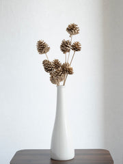 Golden Pine Cone Dried Stems – Pack of 5