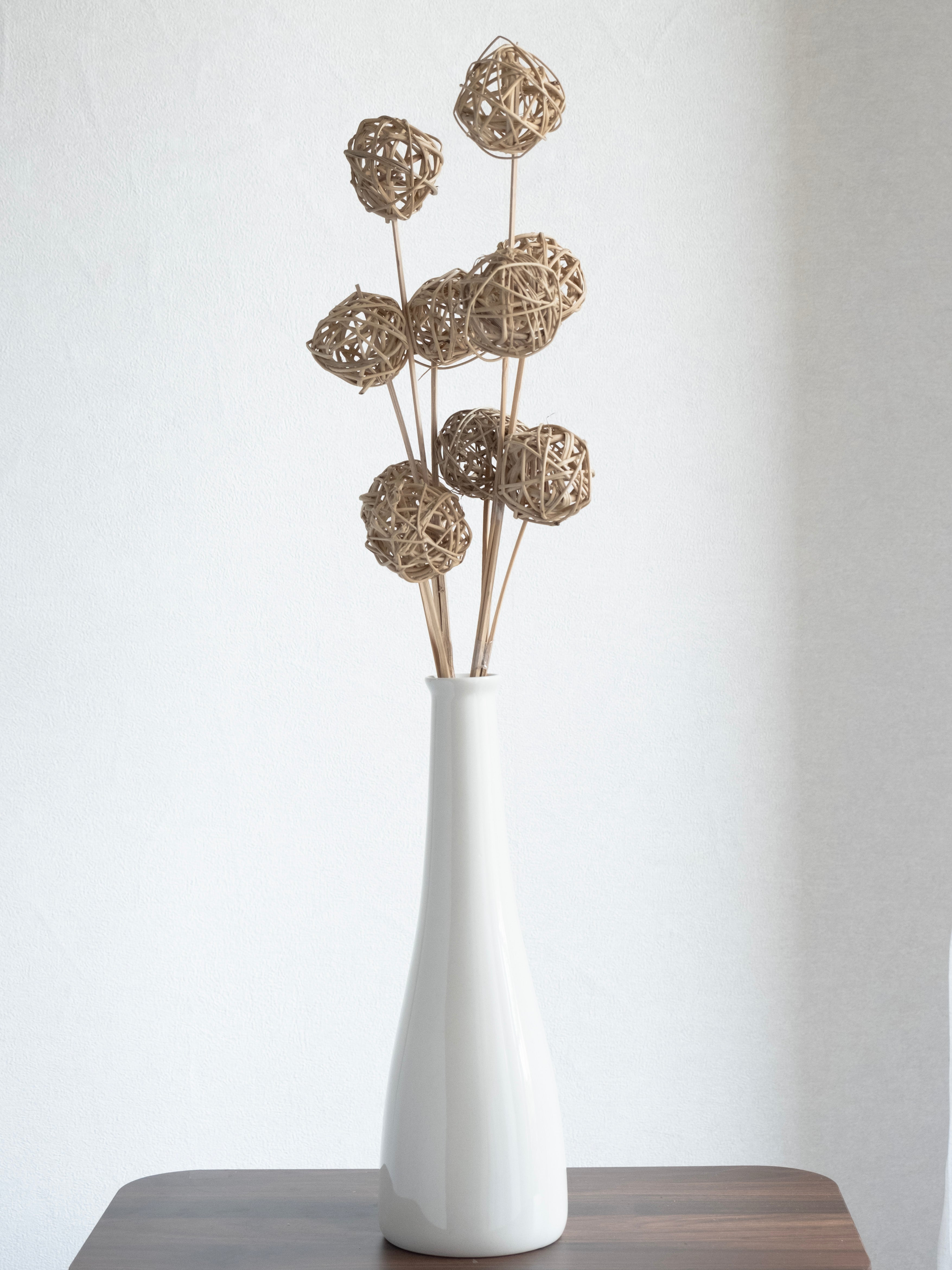 Natural Rattan Ball Dried Stems – Pack of 5