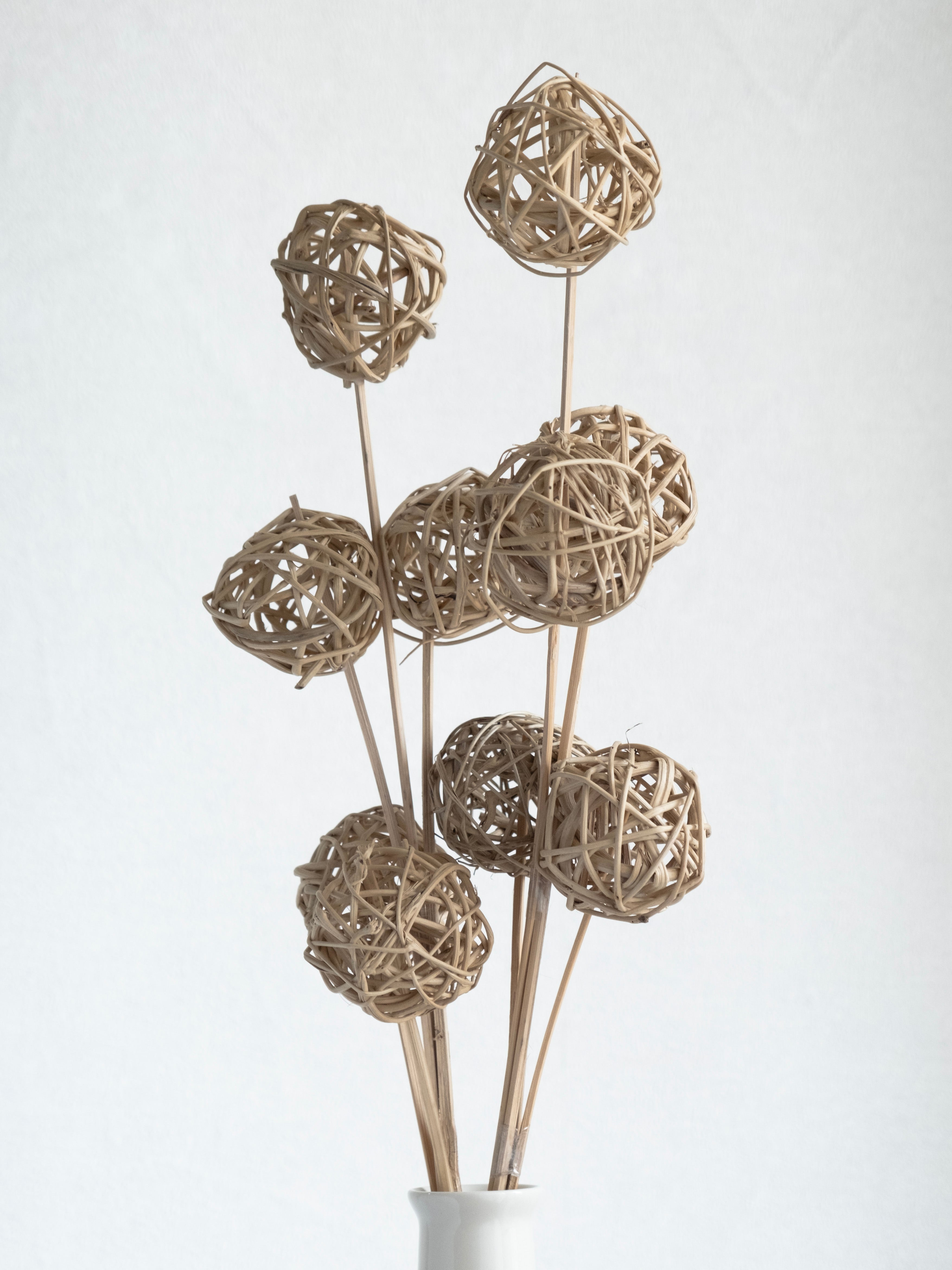 Natural Rattan Ball Dried Stems – Pack of 5