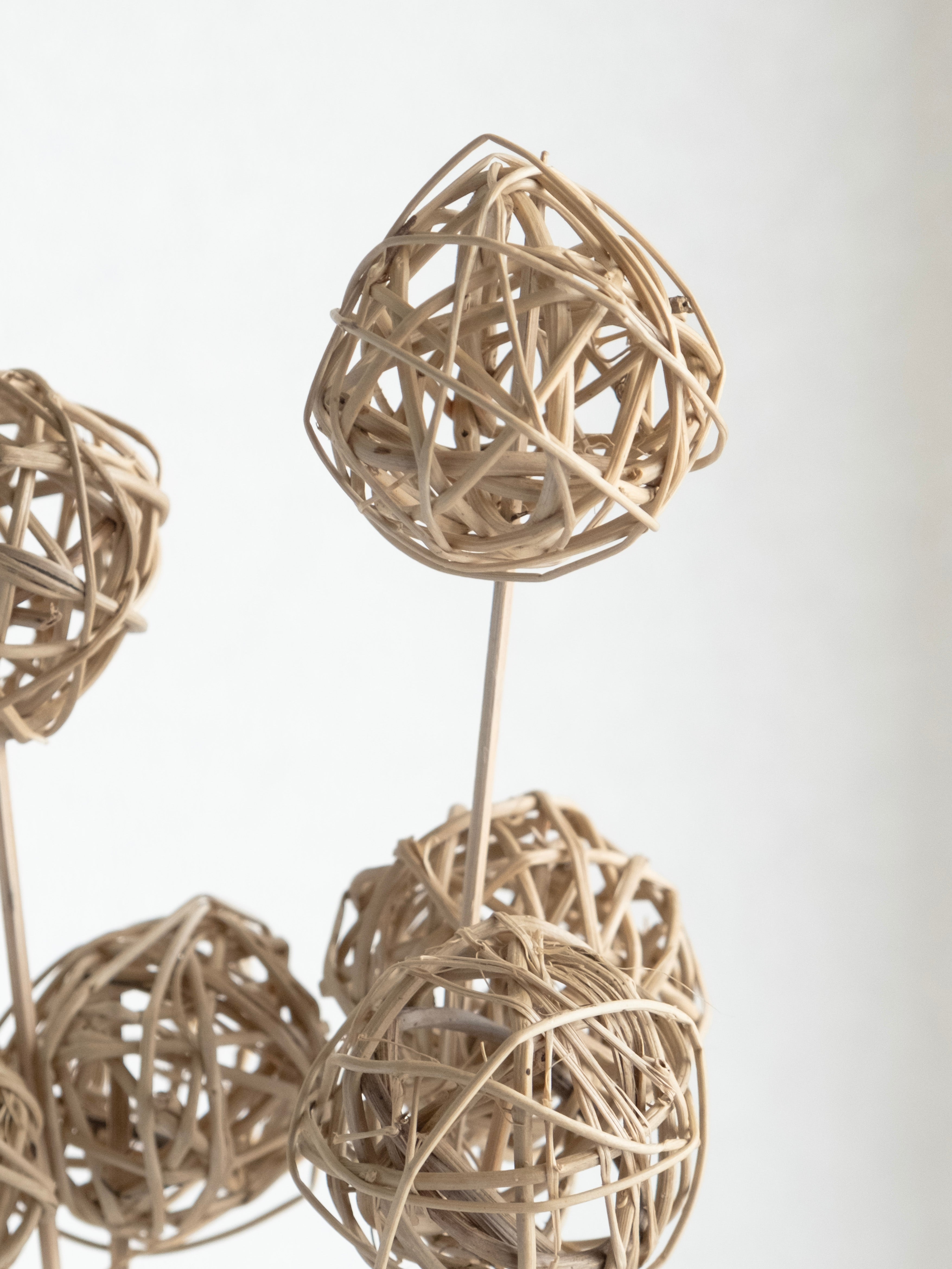 Natural Rattan Ball Dried Stems – Pack of 5