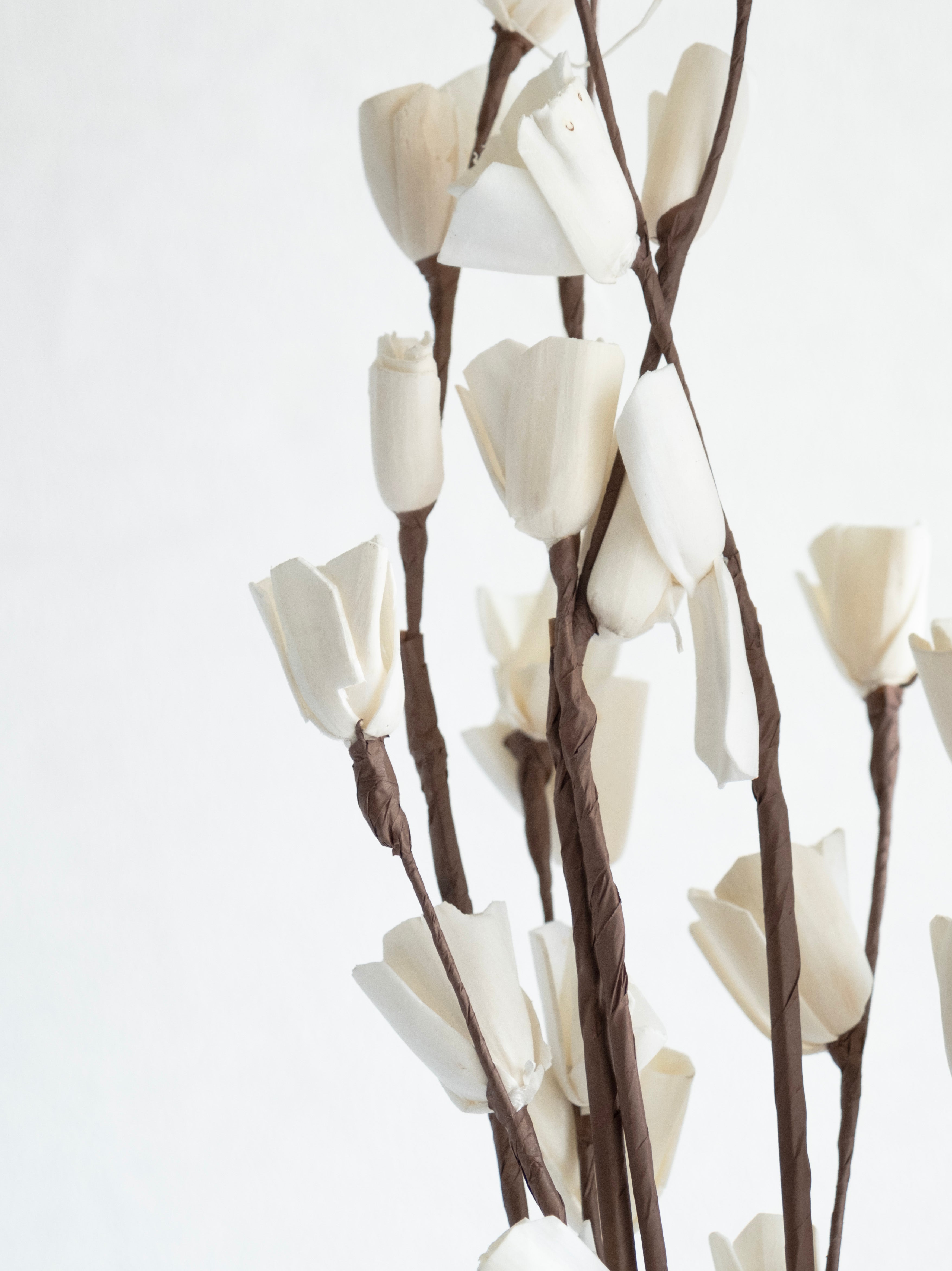 White Lily Decorative Dried Stems – Pack of 3