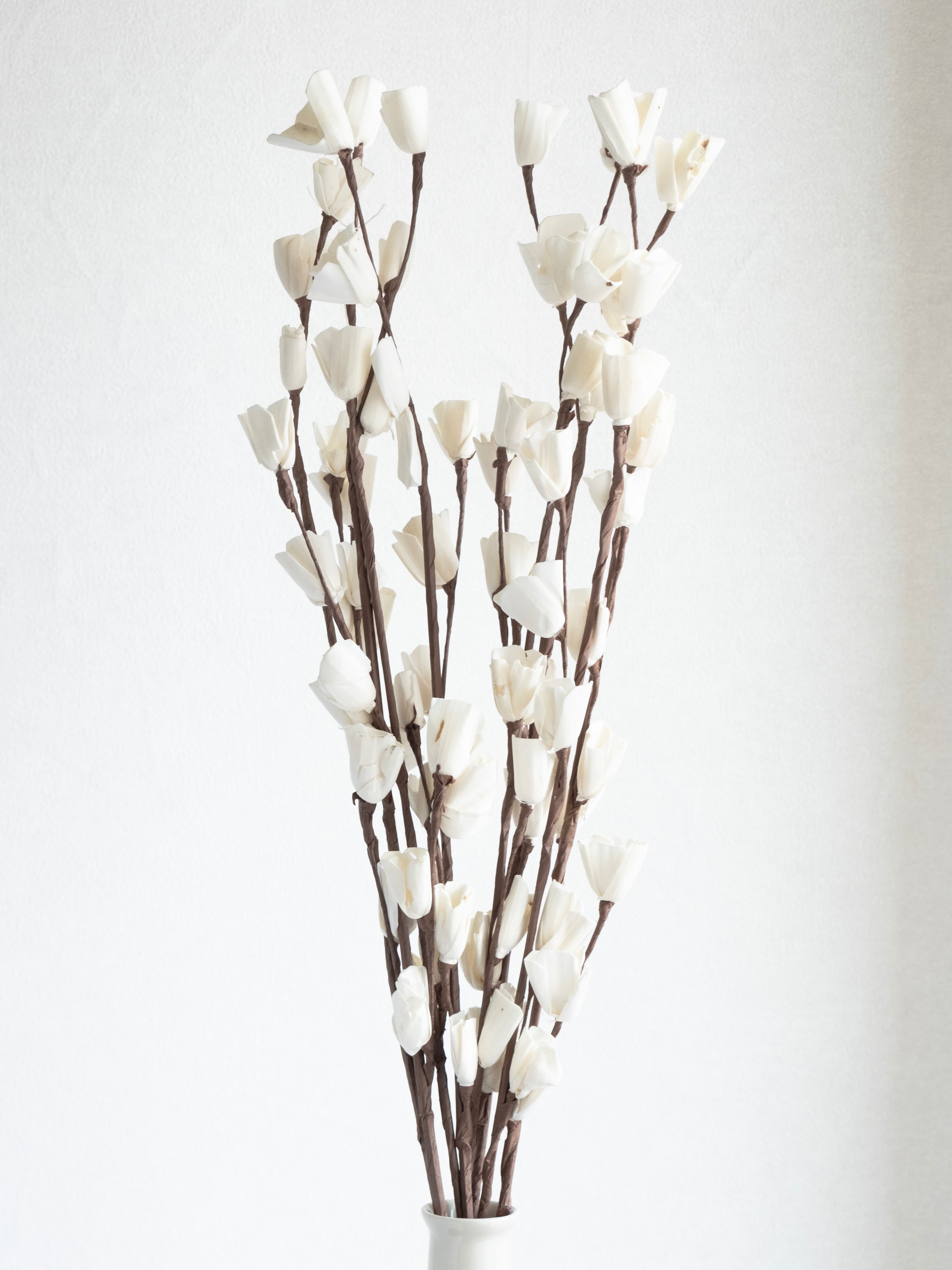 White Lily Decorative Dried Stems – Pack of 3