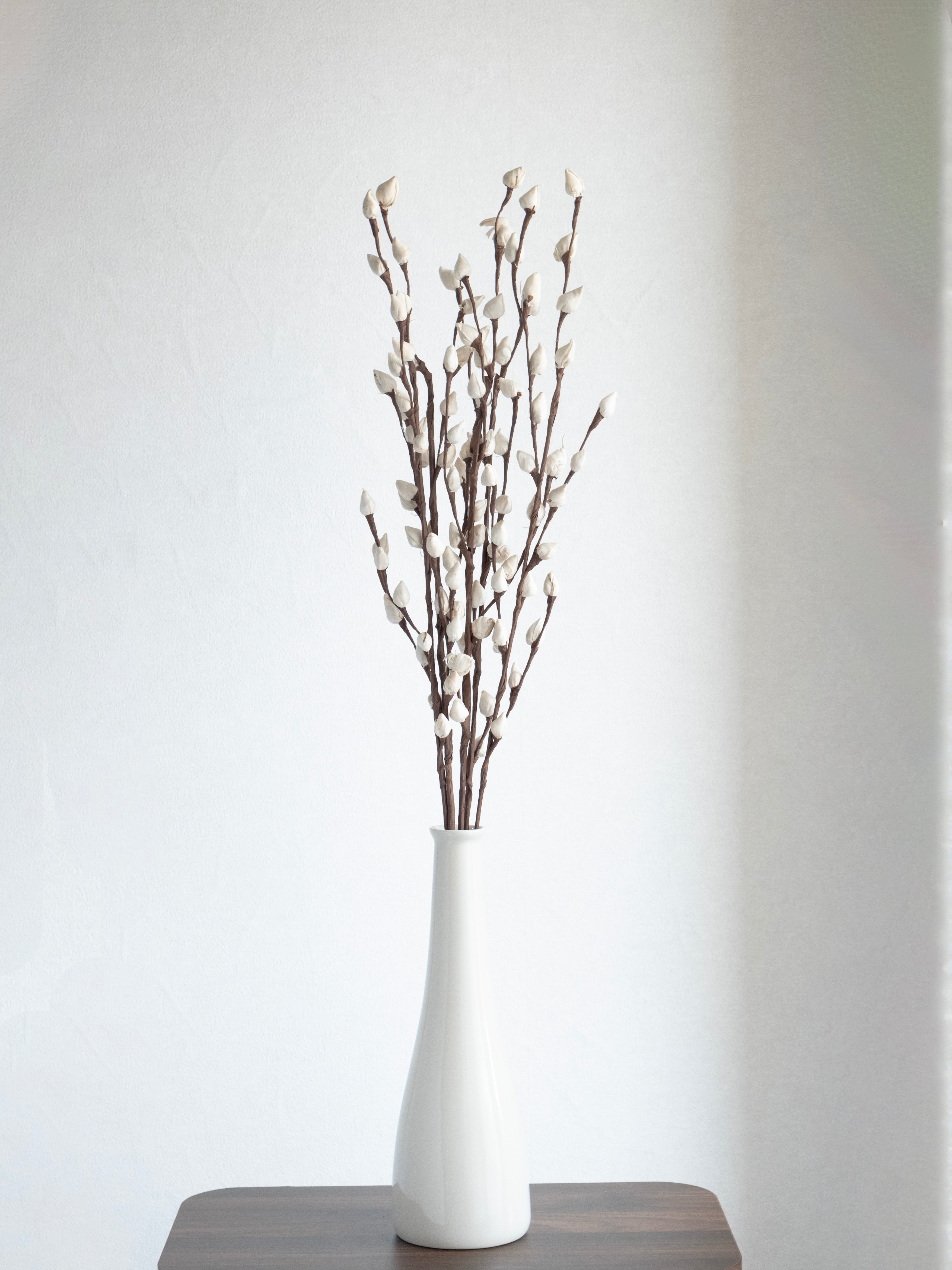 White Bud Rose Dried Stems – Pack of 3