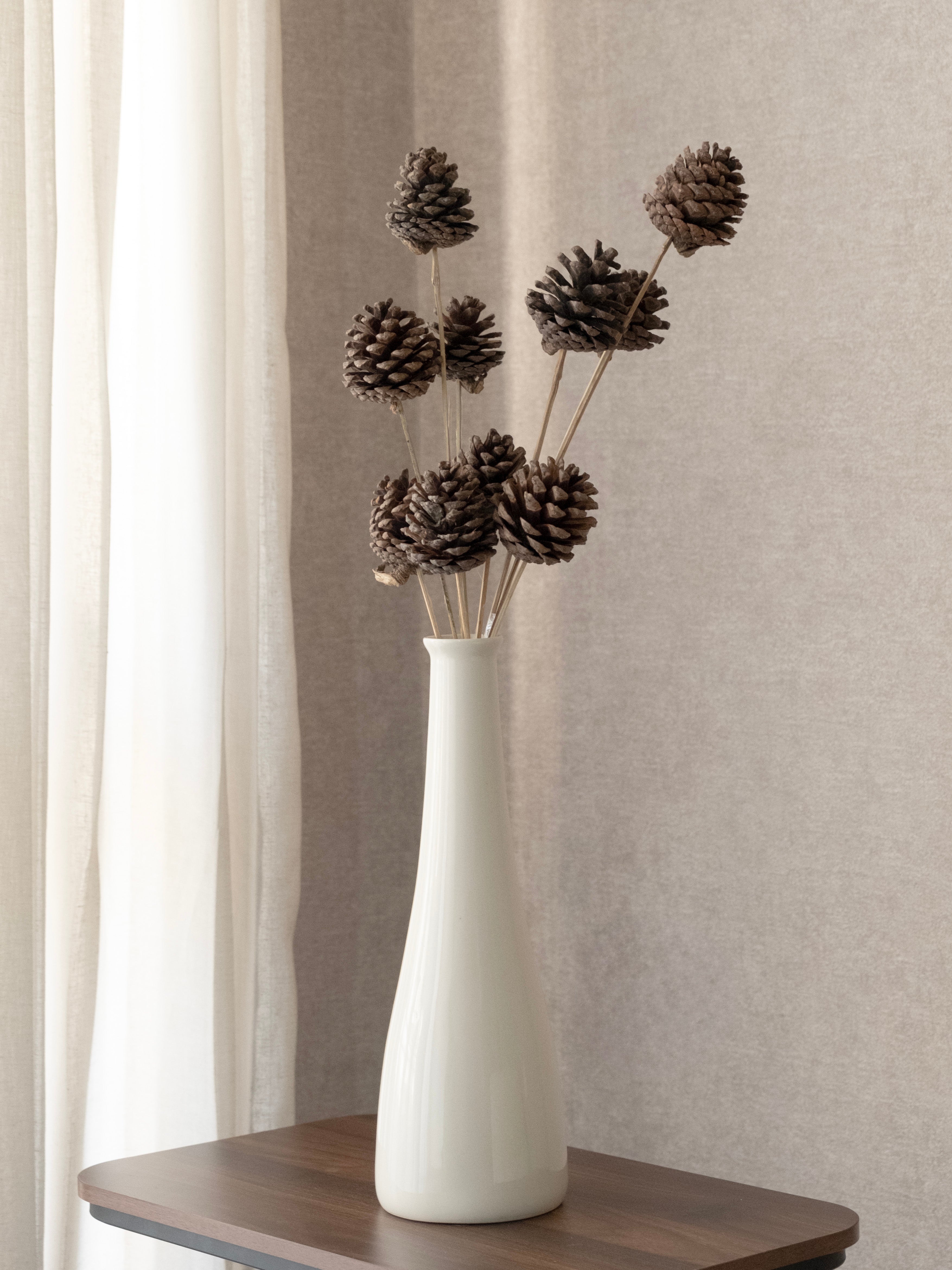 Natural Pine Cone Dried Stems – Pack of 5