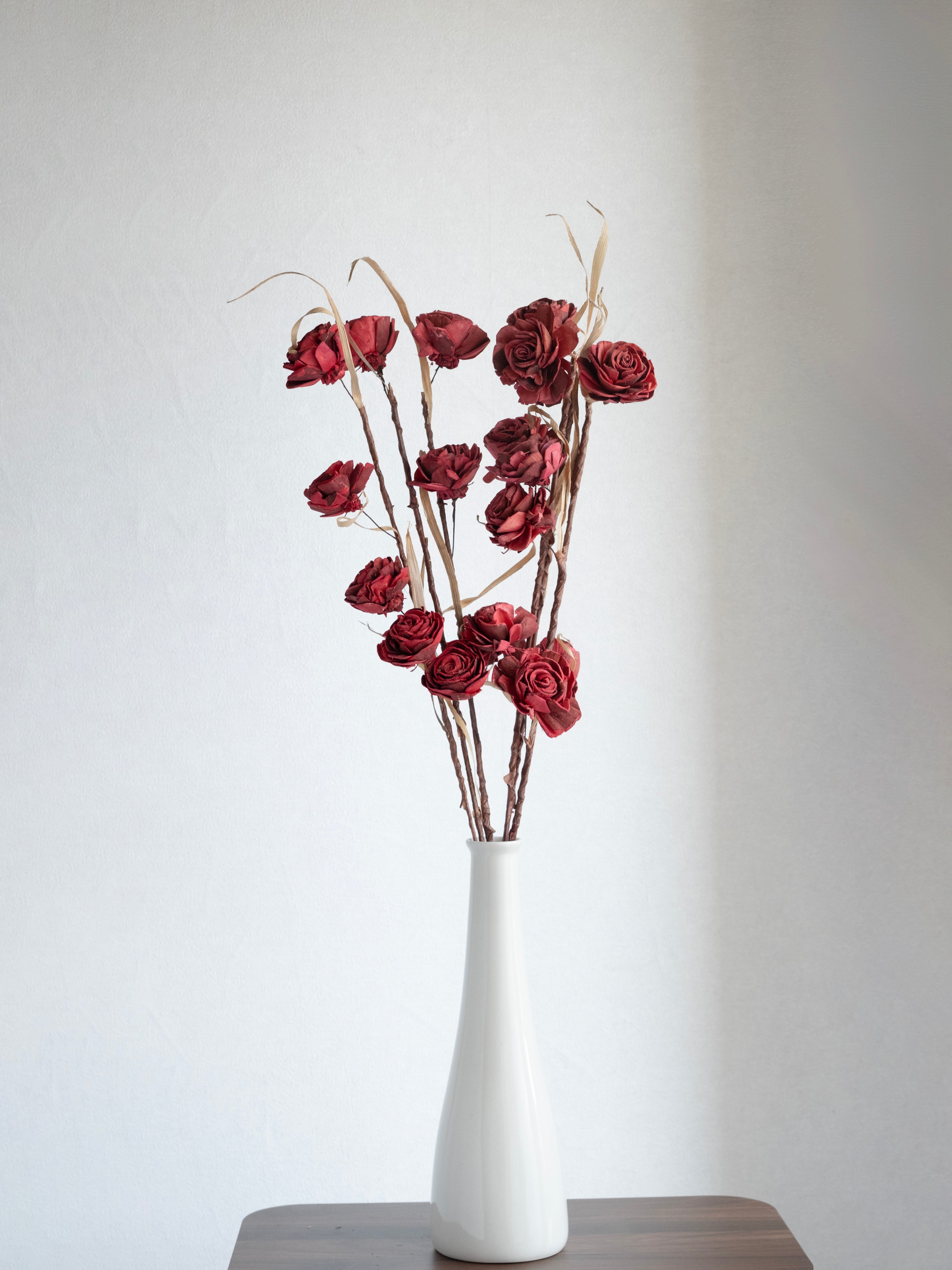 Dried Sola Wood Rose Stems – Pack of 3