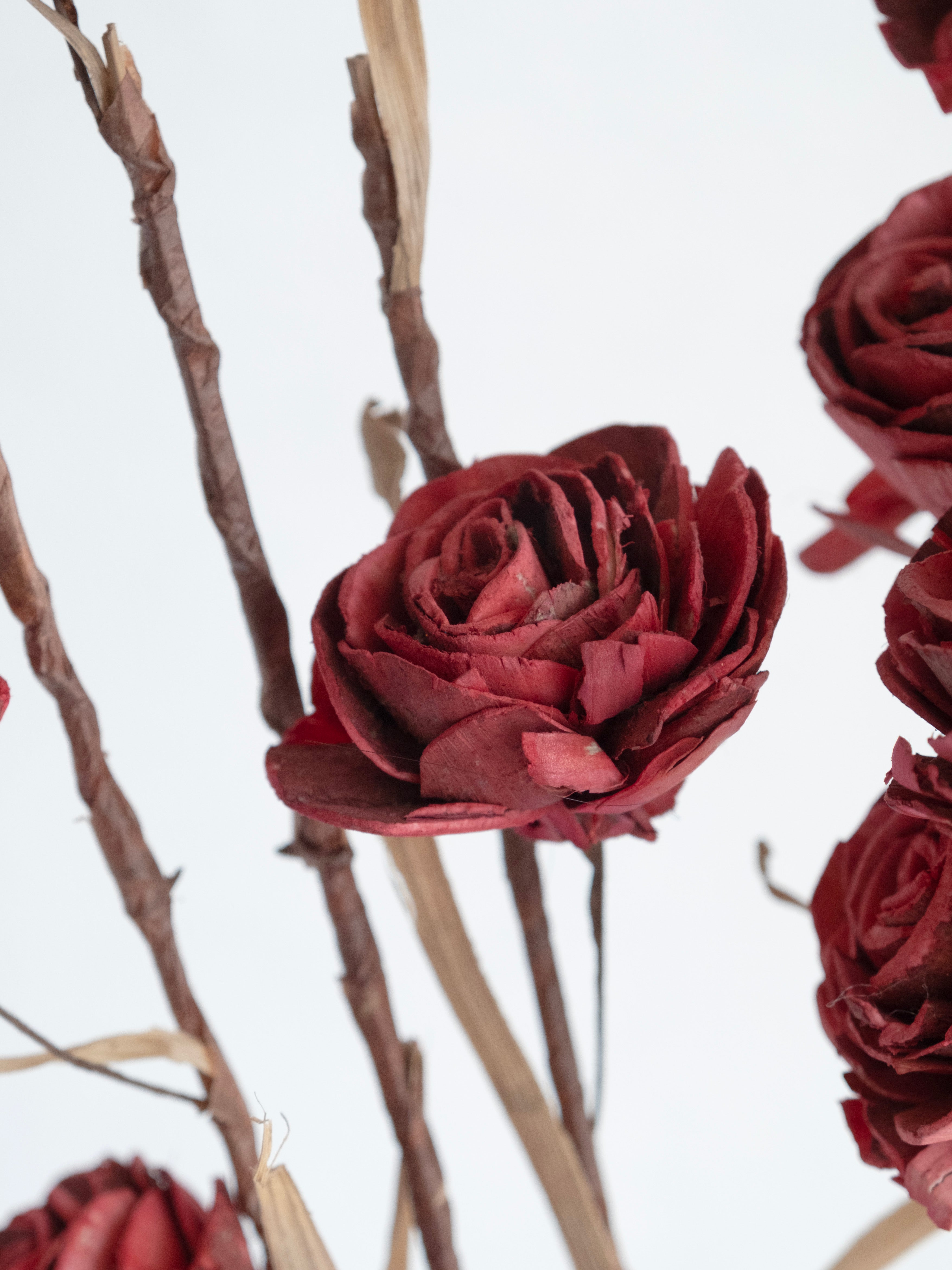 Dried Sola Wood Rose Stems – Pack of 3