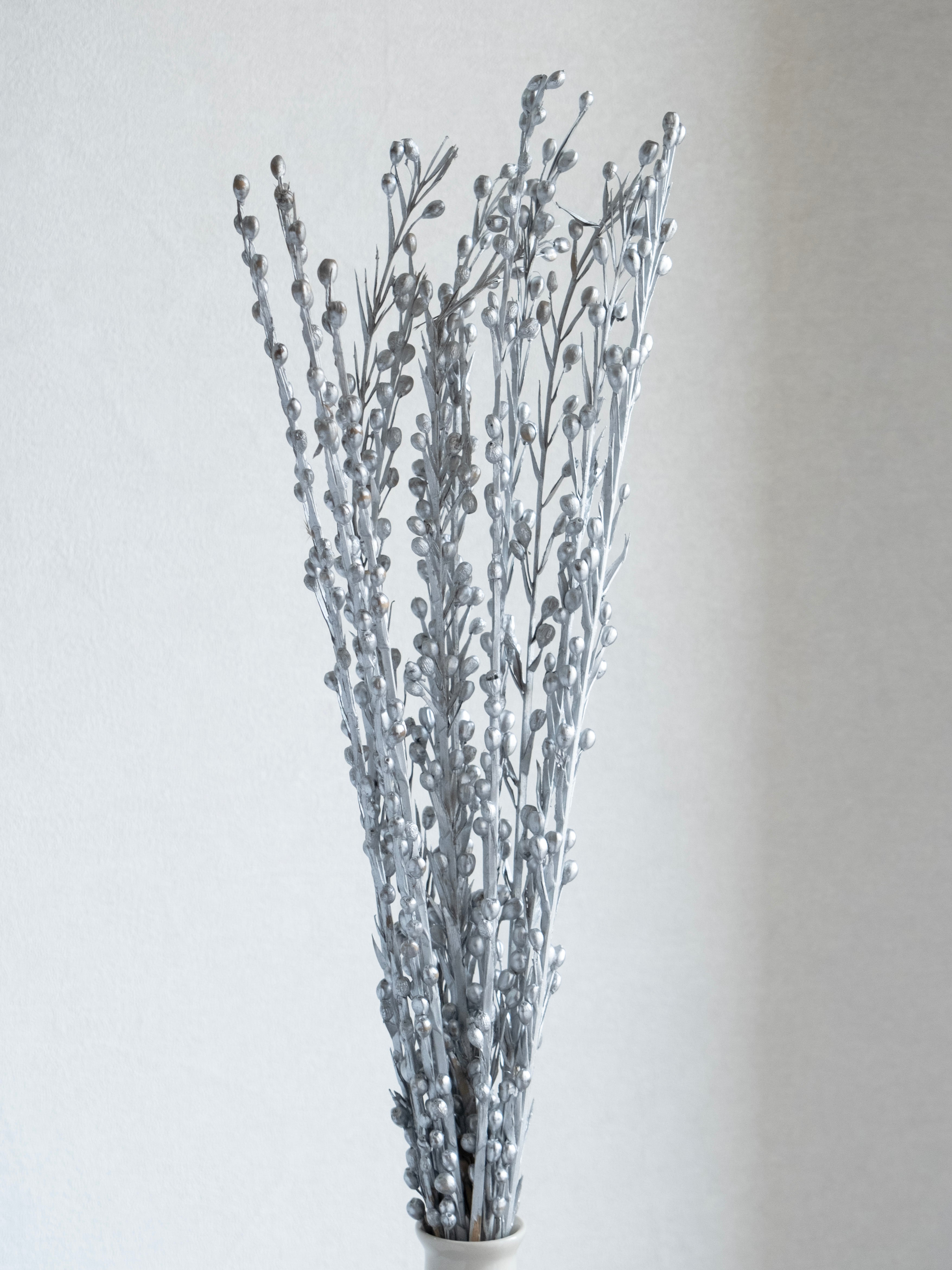 Dried Sparkle Flower Stems – Pack of 5