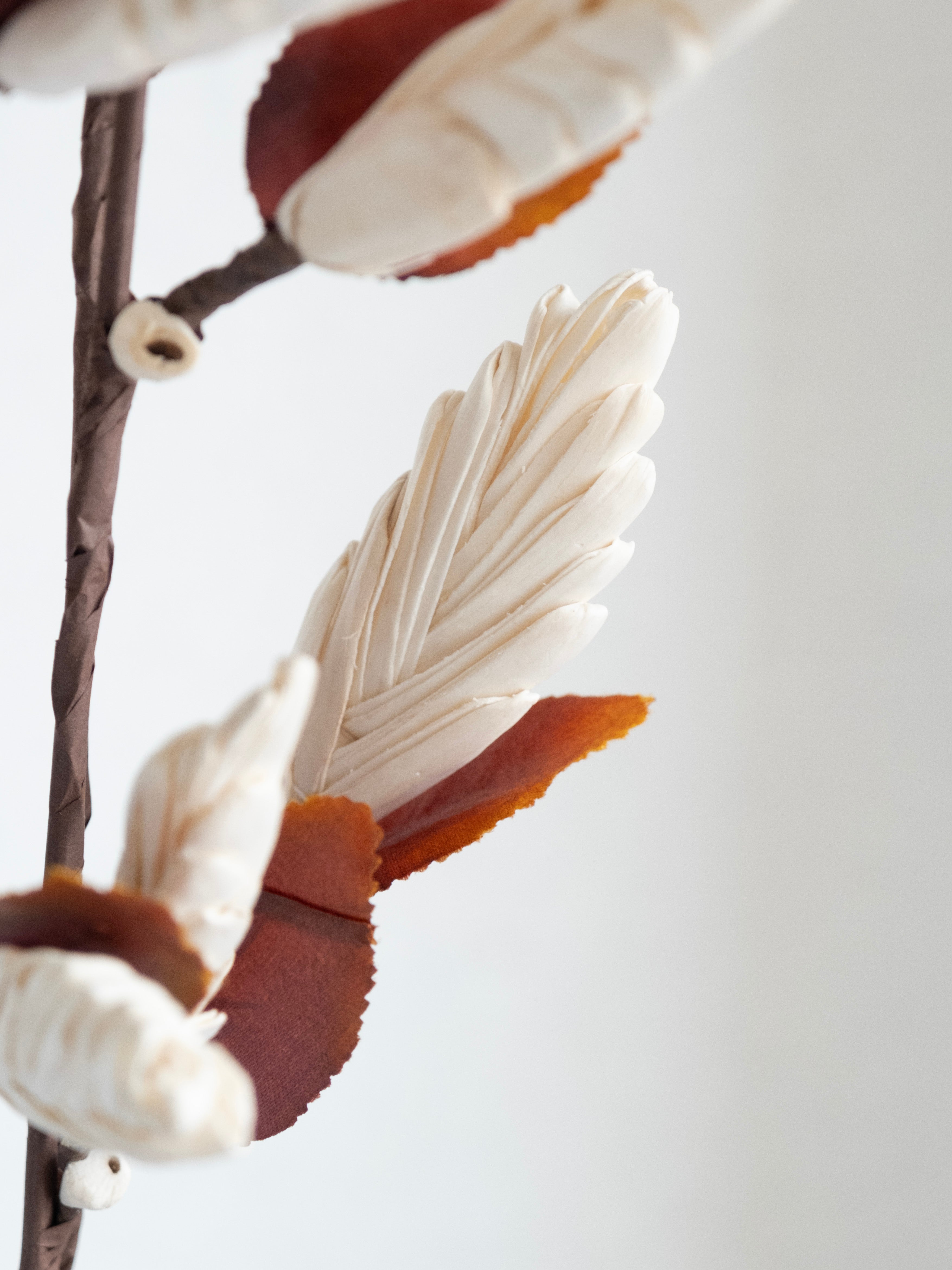 Decorative Dried Botanical Sticks – Pack of 3