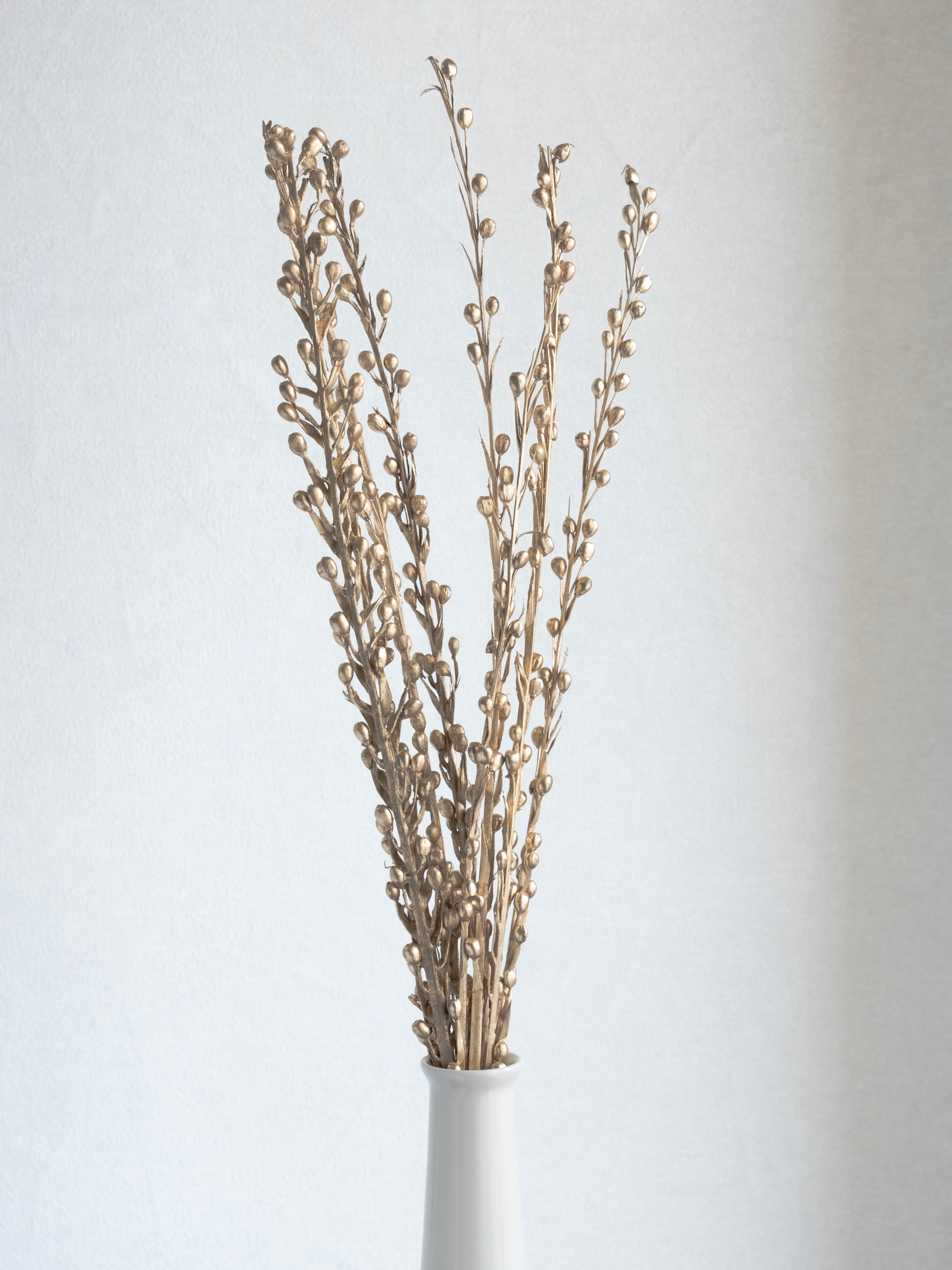 Dried Sparkle Flower Stems – Pack of 5