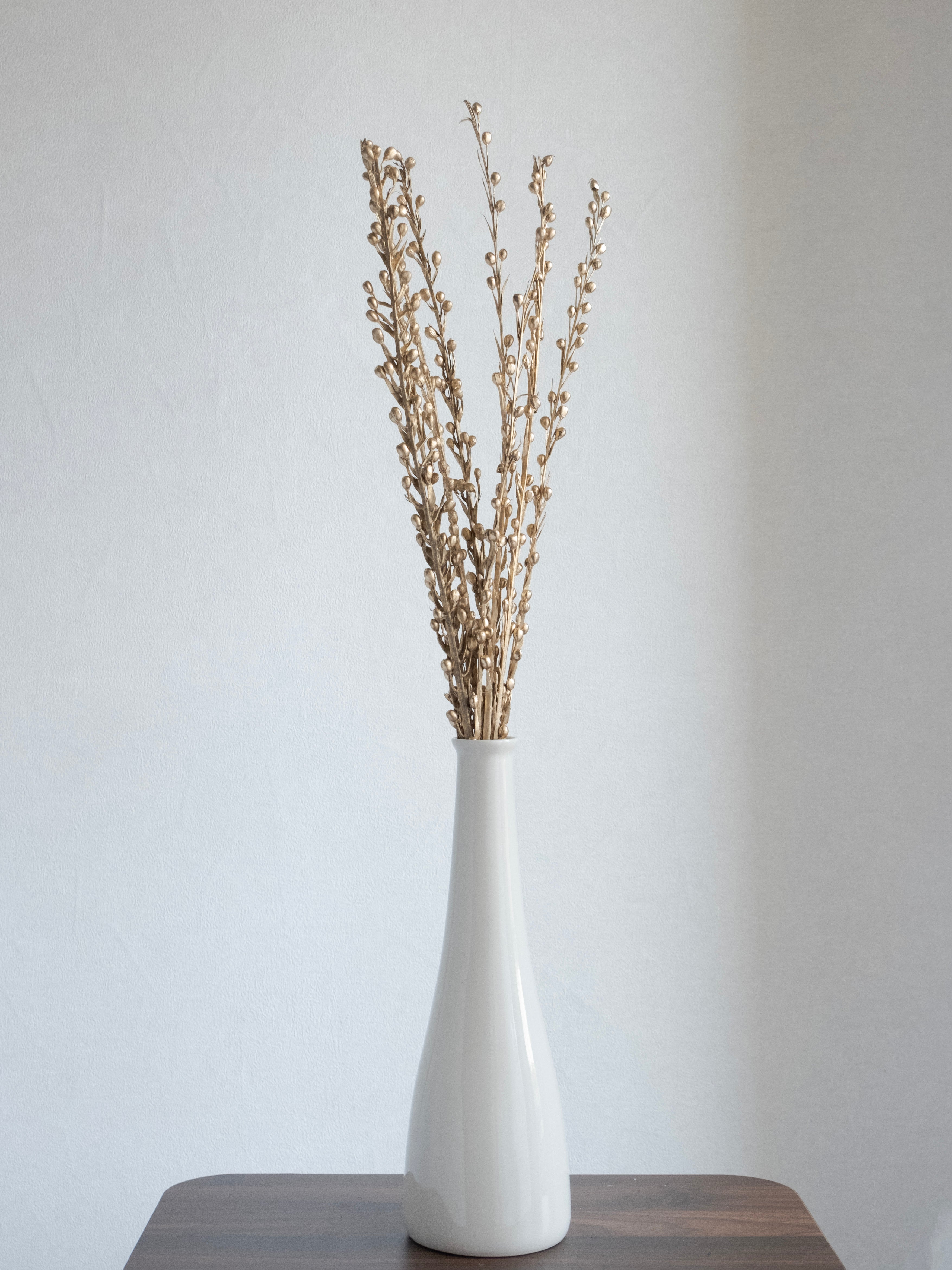 Dried Sparkle Flower Stems – Pack of 5