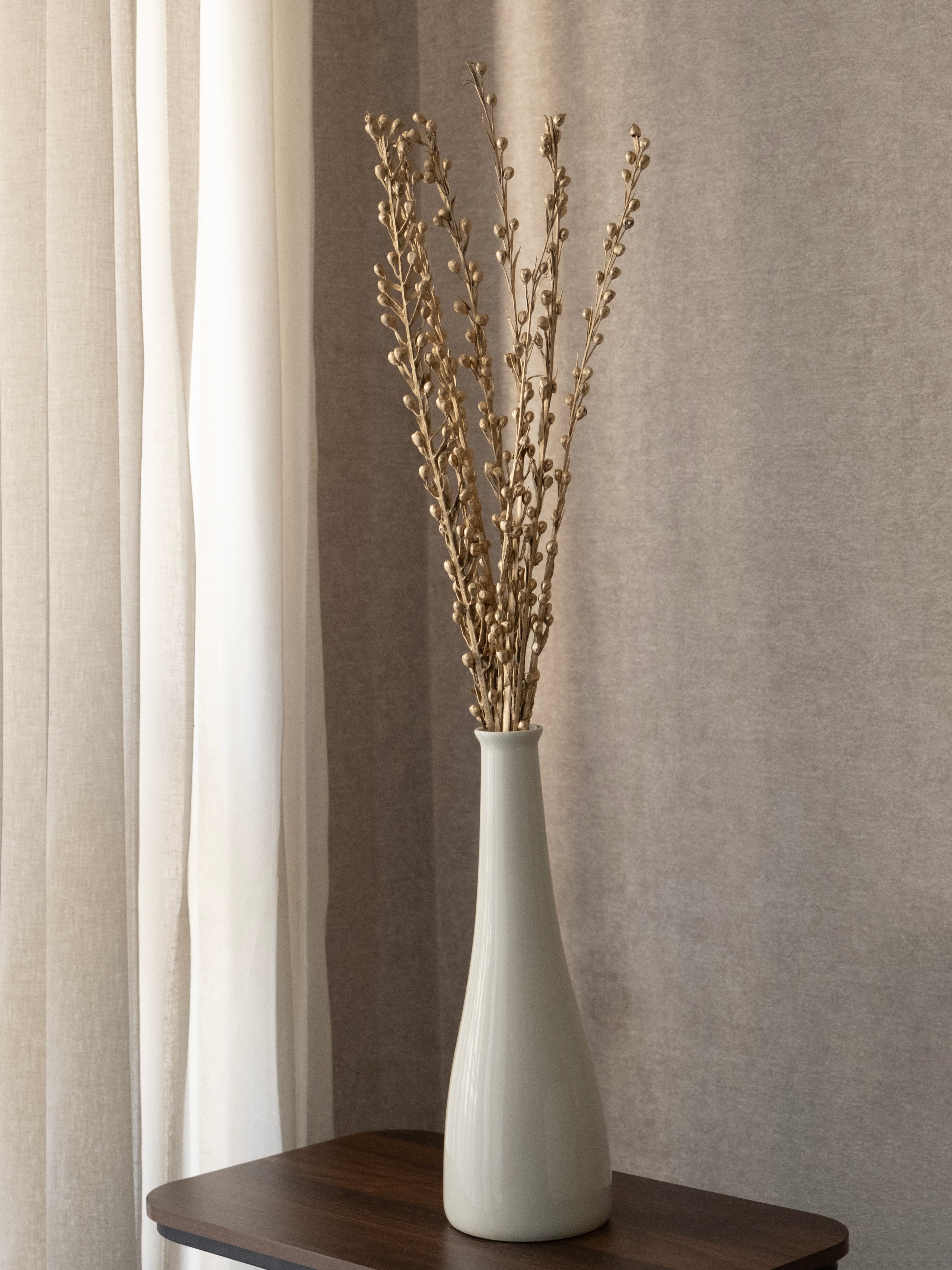 Dried Sparkle Flower Stems – Pack of 5