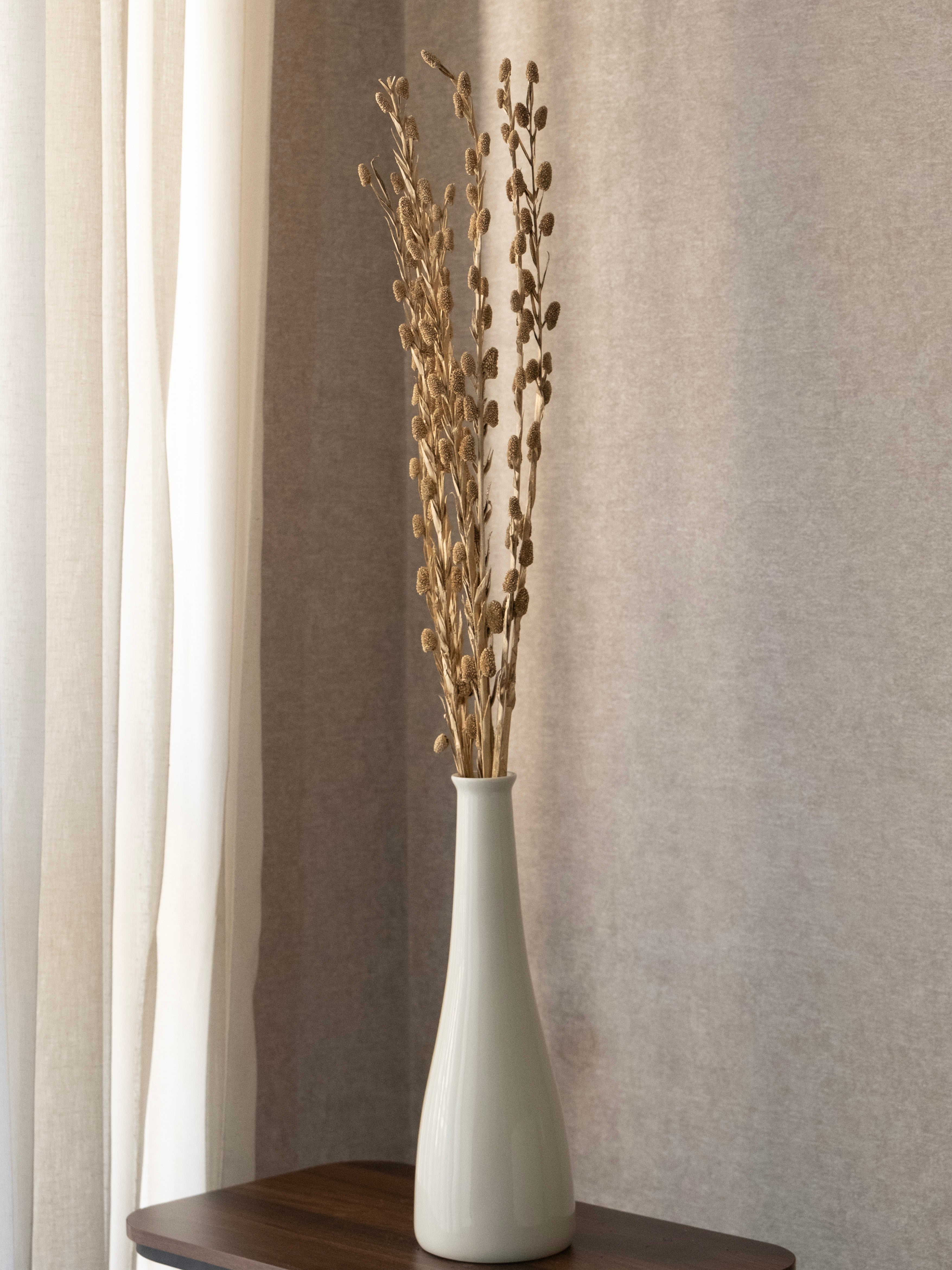 Golden Dried Sparkle Stems – Pack of 5