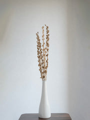 Golden Dried Sparkle Stems – Pack of 5