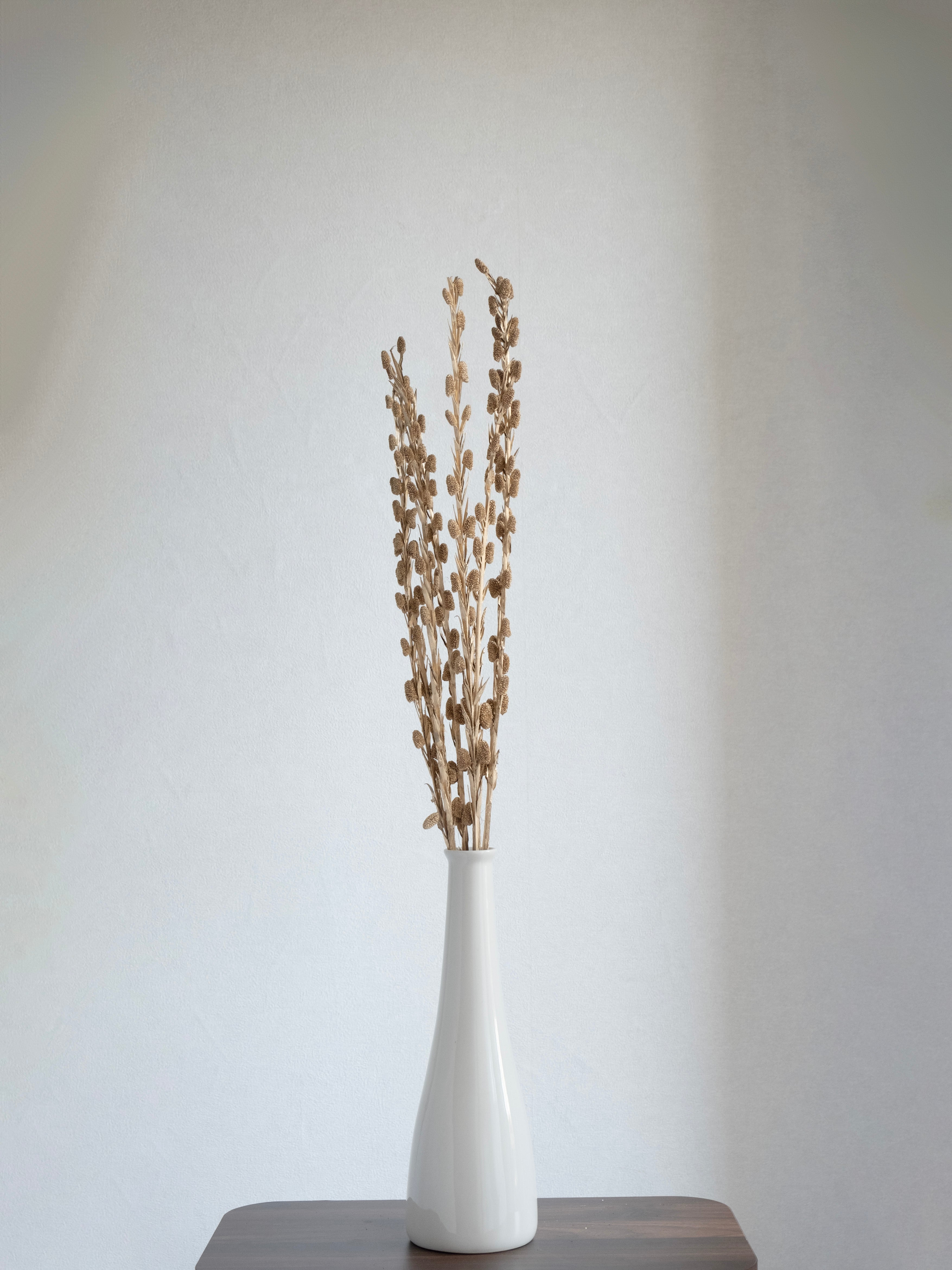 Golden Dried Sparkle Stems – Pack of 5