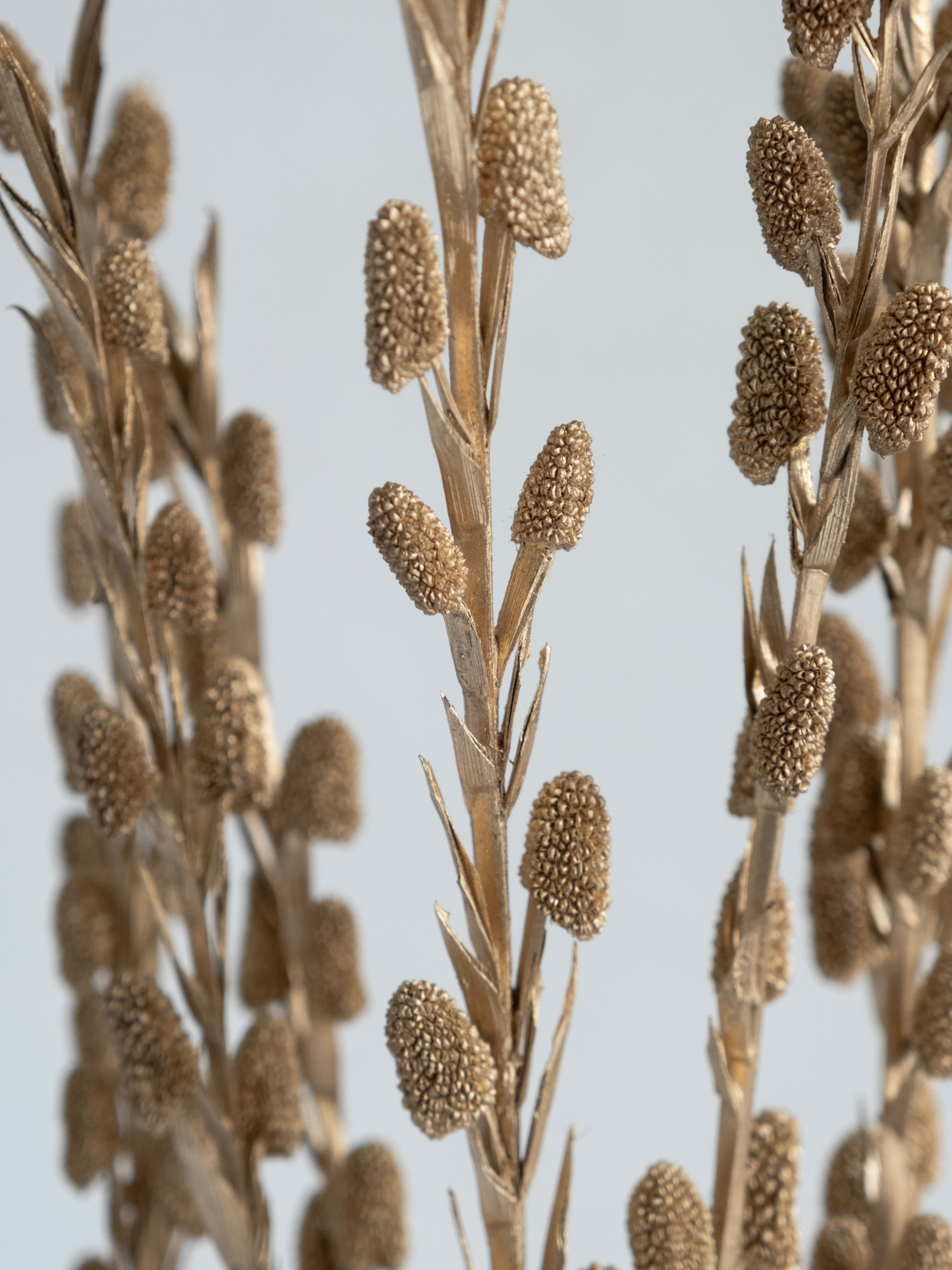 Golden Dried Sparkle Stems – Pack of 5