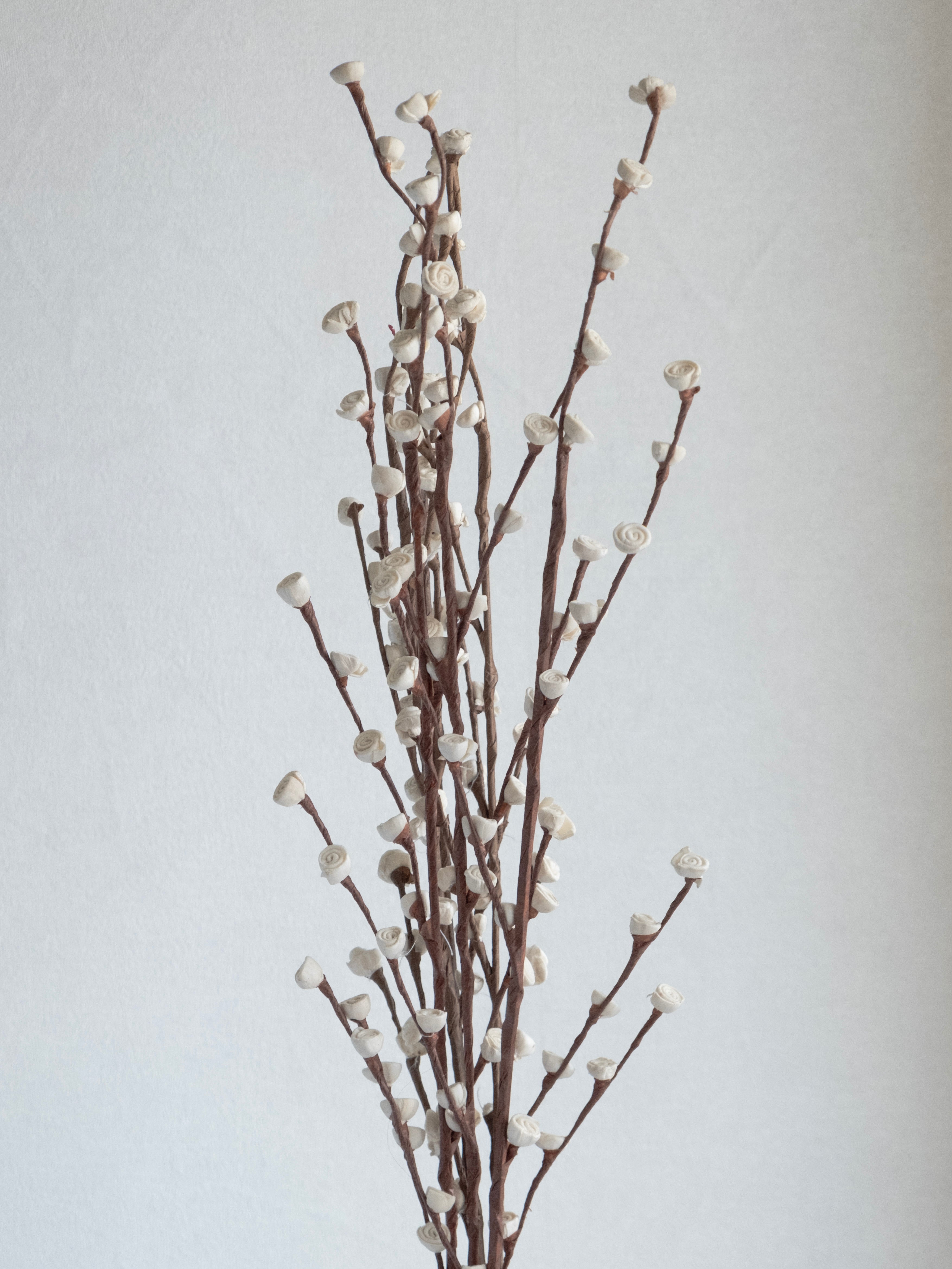 Natural Dried Decorative Twig Stems – Pack of 3