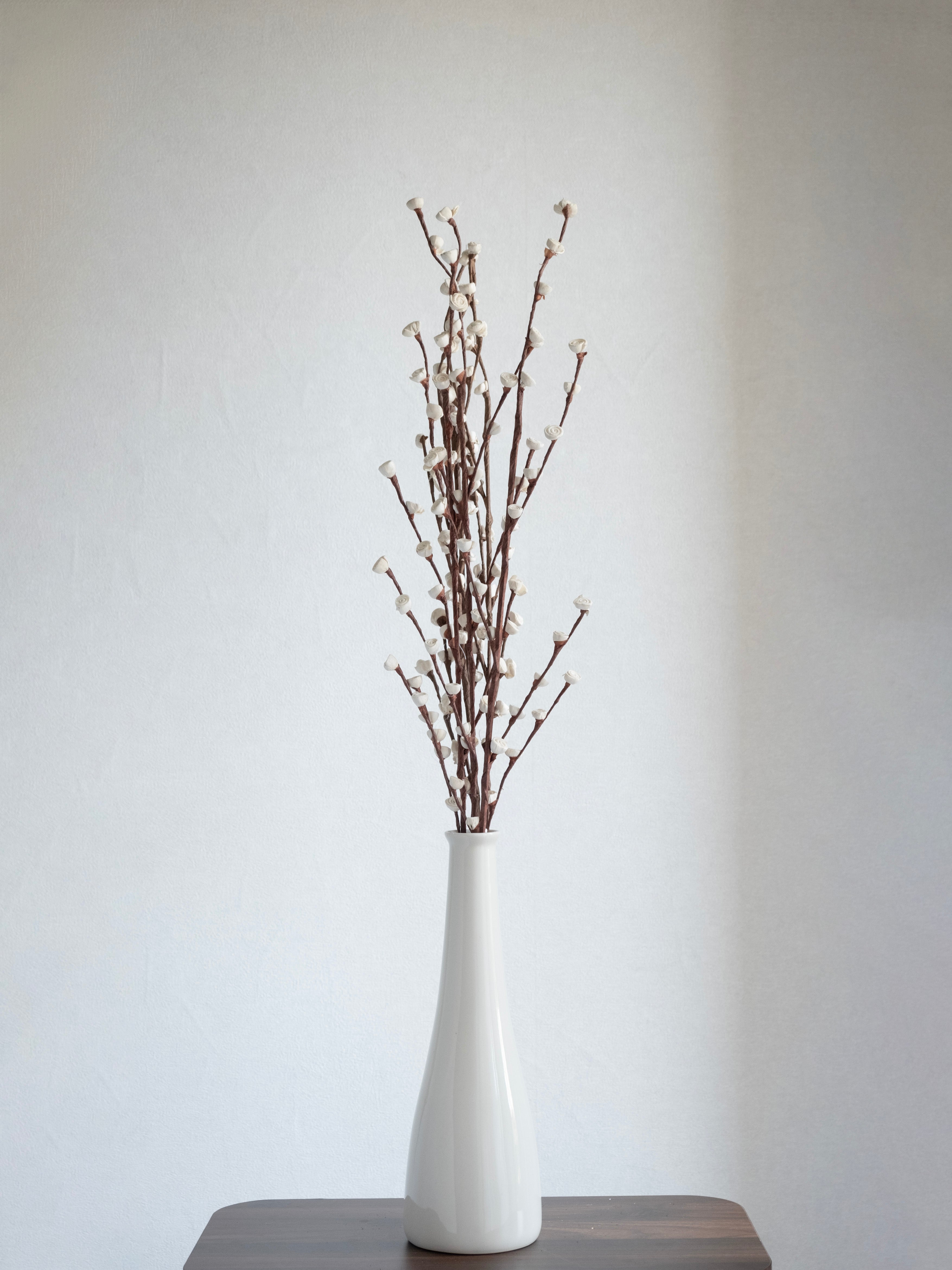 Natural Dried Decorative Twig Stems – Pack of 3