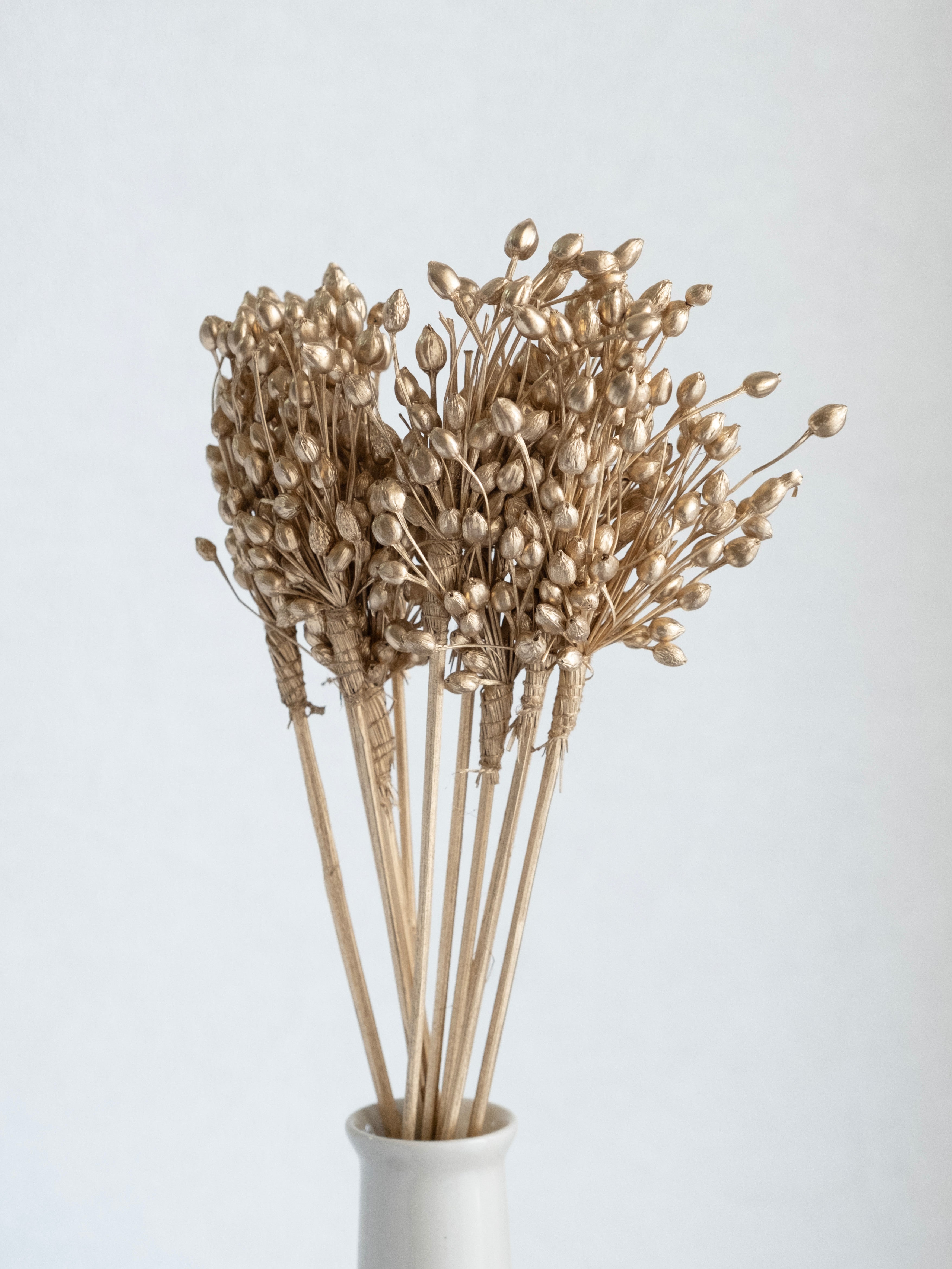 Golden Dried Moti Bunch – Pack of 6