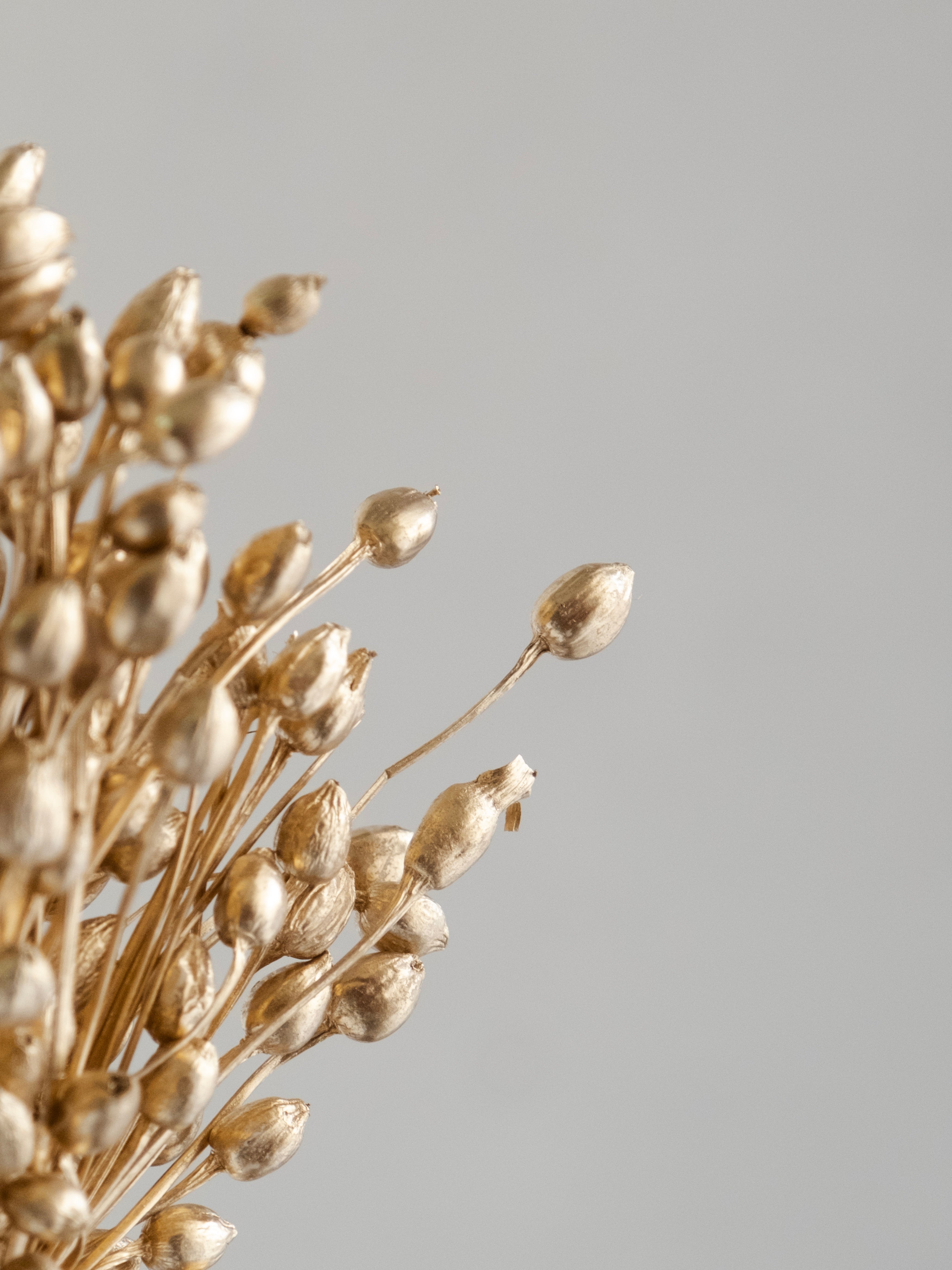 Golden Dried Moti Bunch – Pack of 6