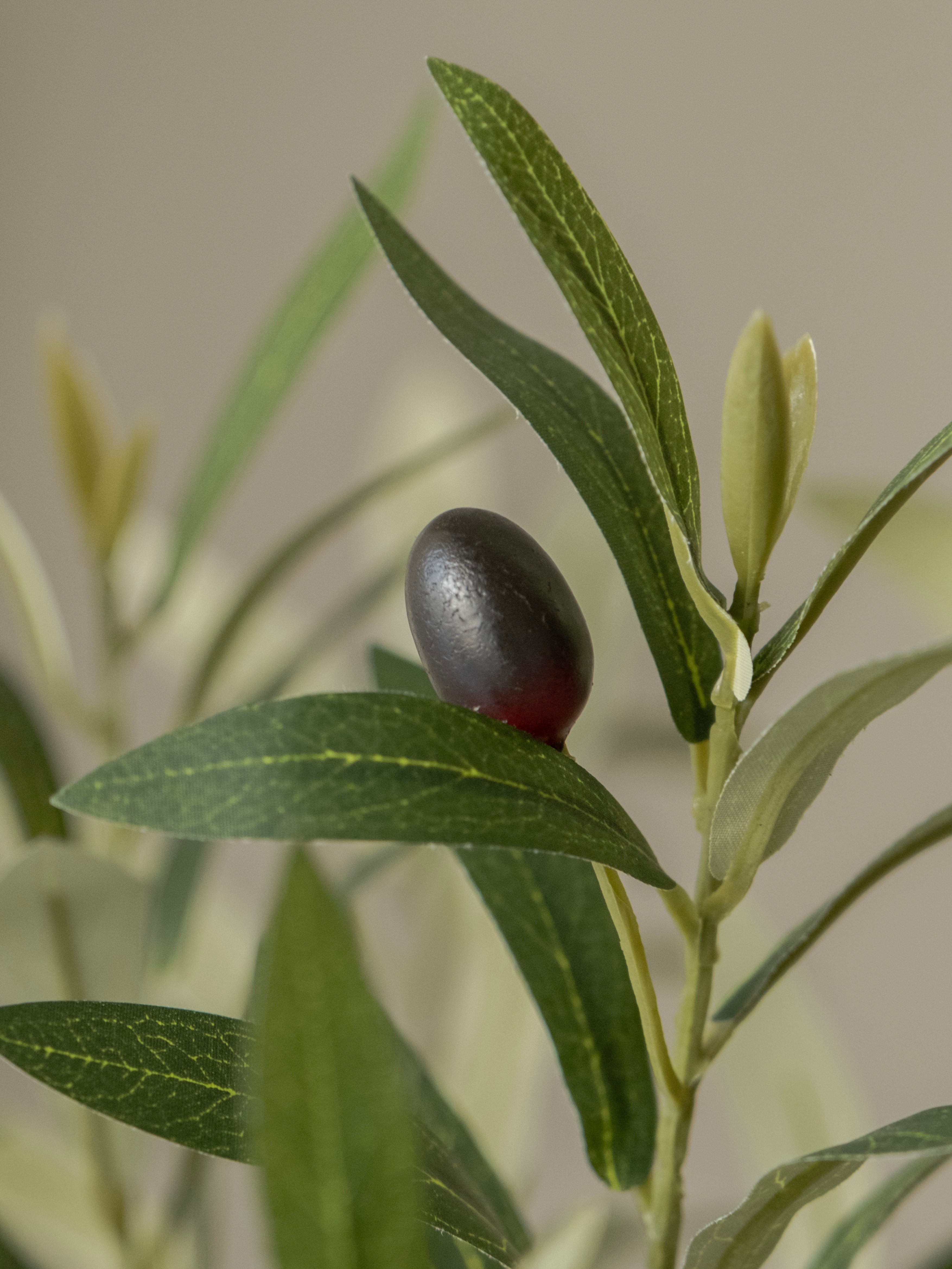 Artificial Olive Tree 5ft