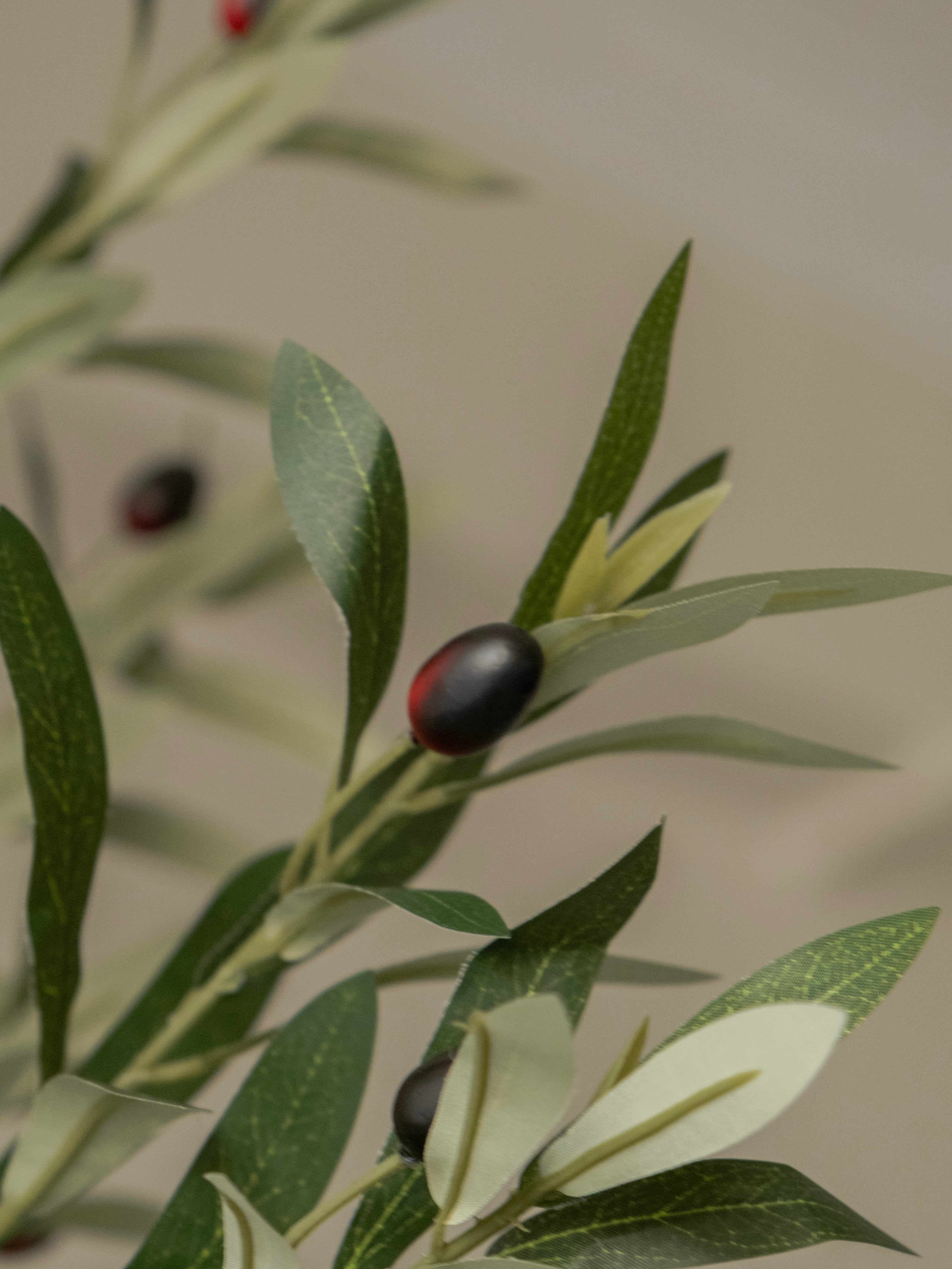 Artificial Olive Tree 6ft