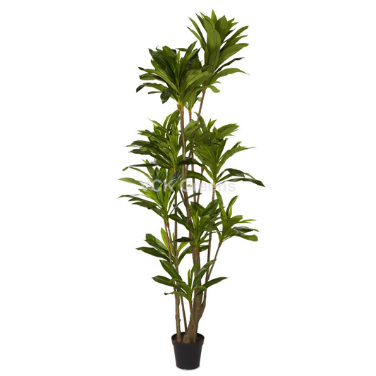 Artificial Jumbo Dracaena Plant 10ft With Pot