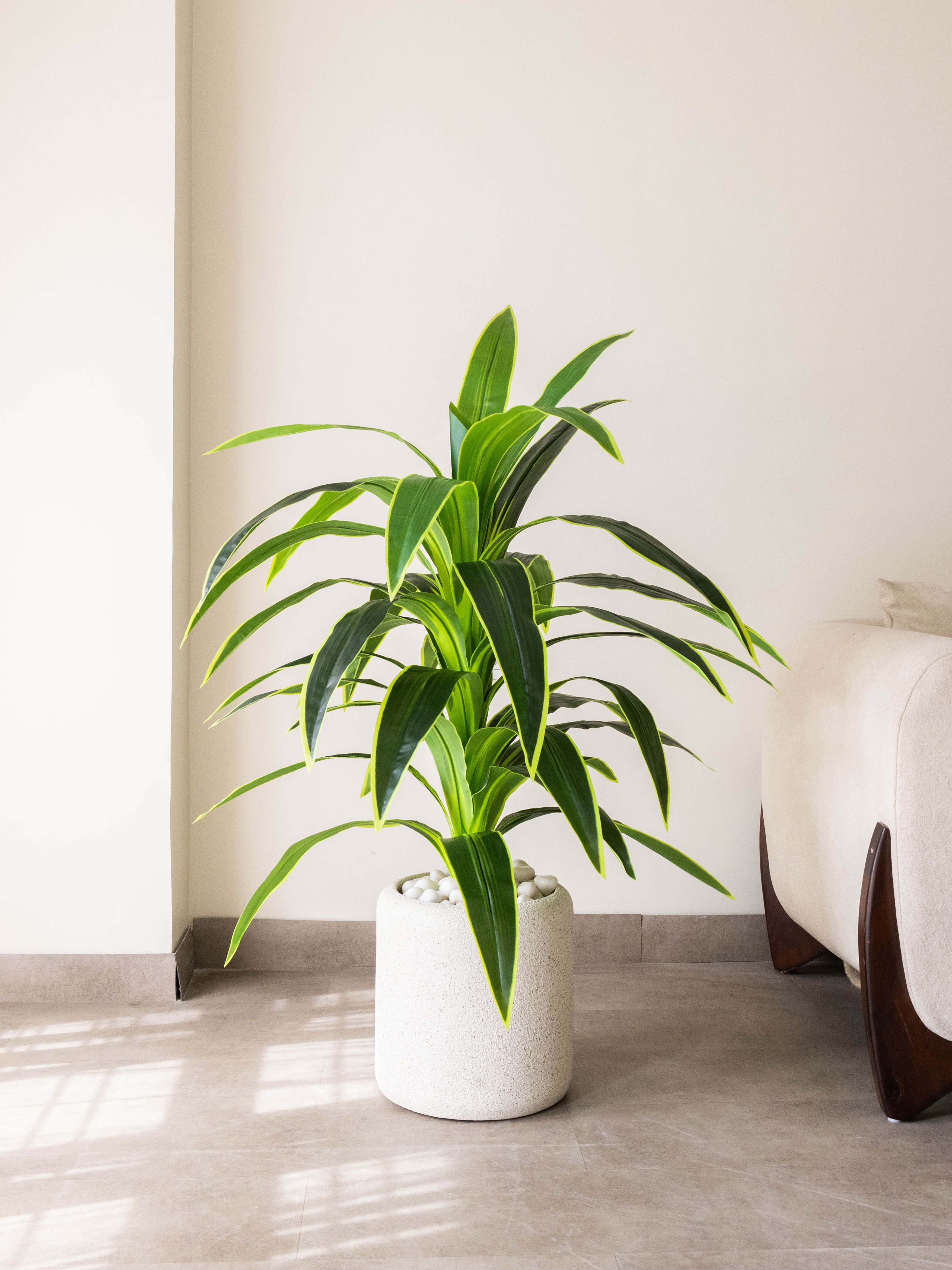 Artificial Variegated Dracaena Plant 4ft