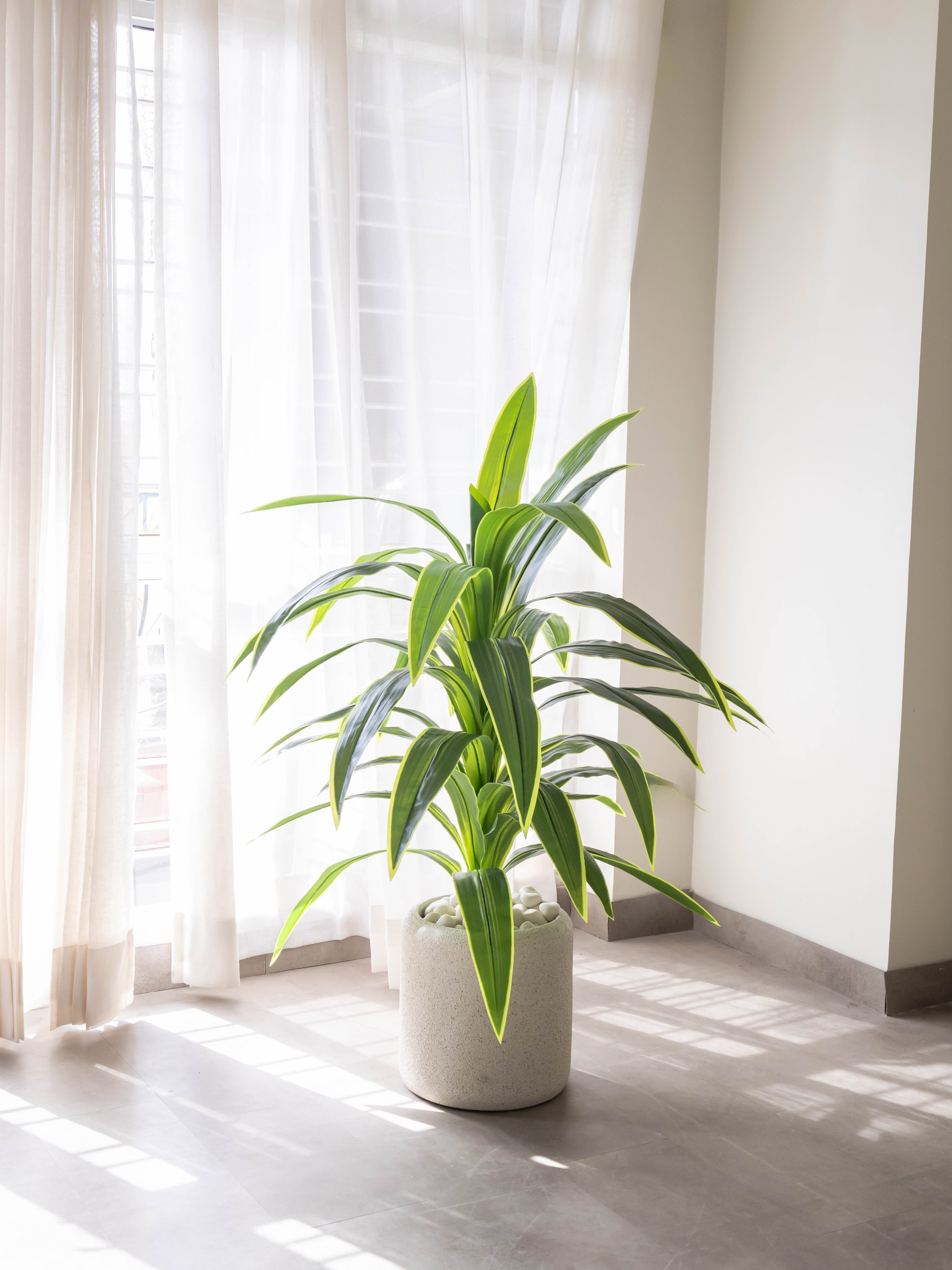 Artificial Variegated Dracaena Plant 4ft