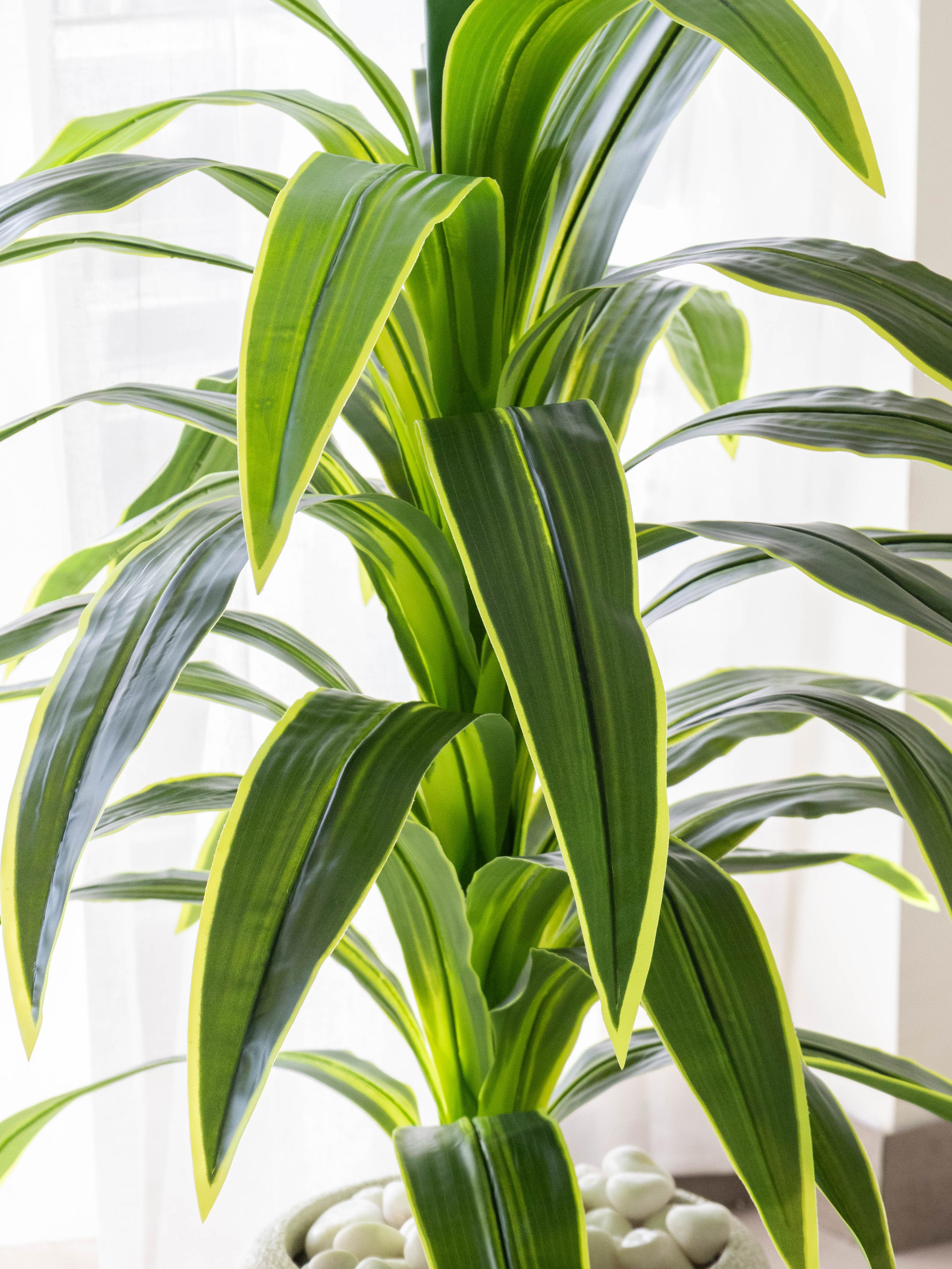Artificial Variegated Dracaena Plant 4ft