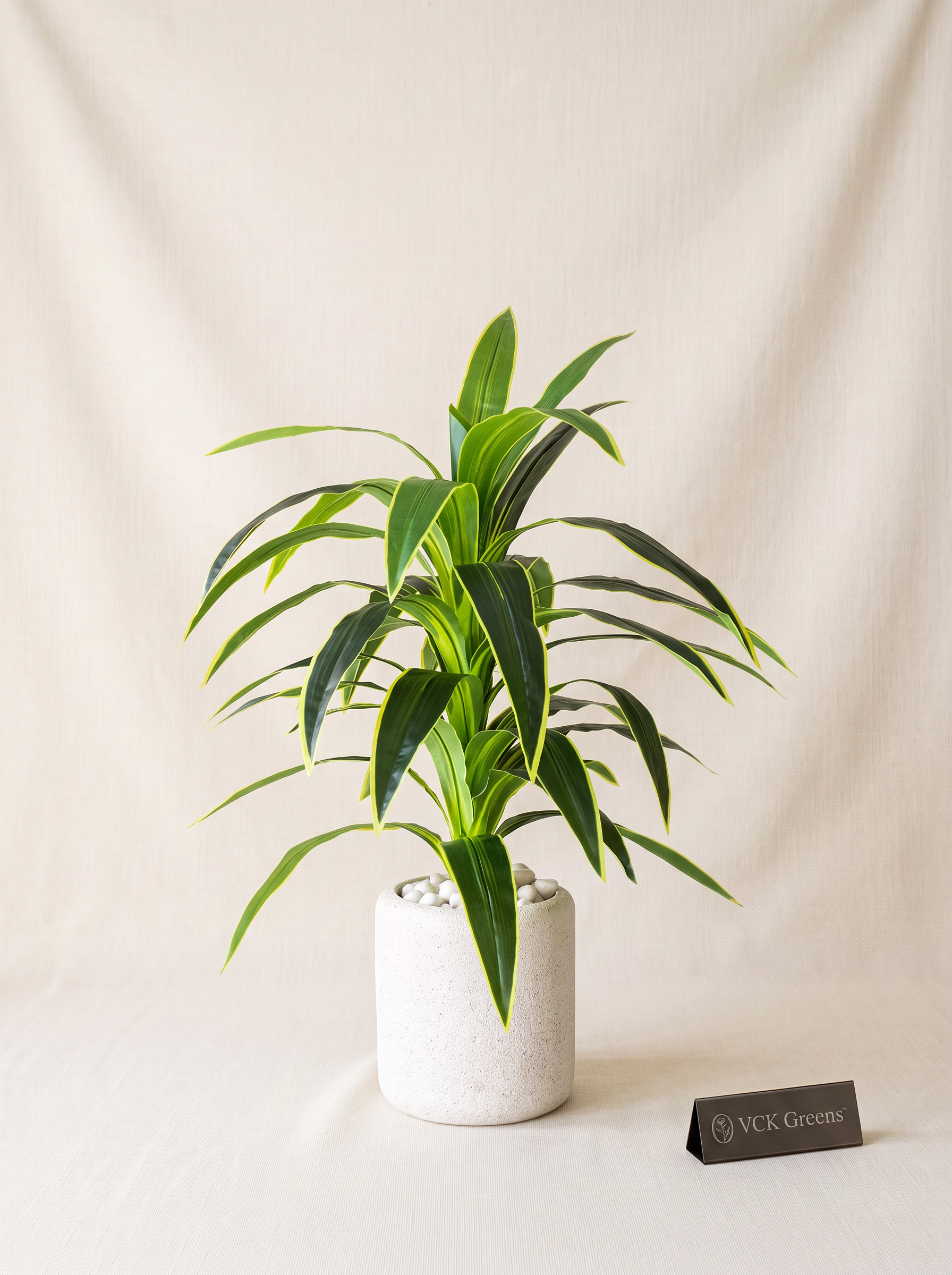 Artificial Variegated Dracaena Plant 4ft