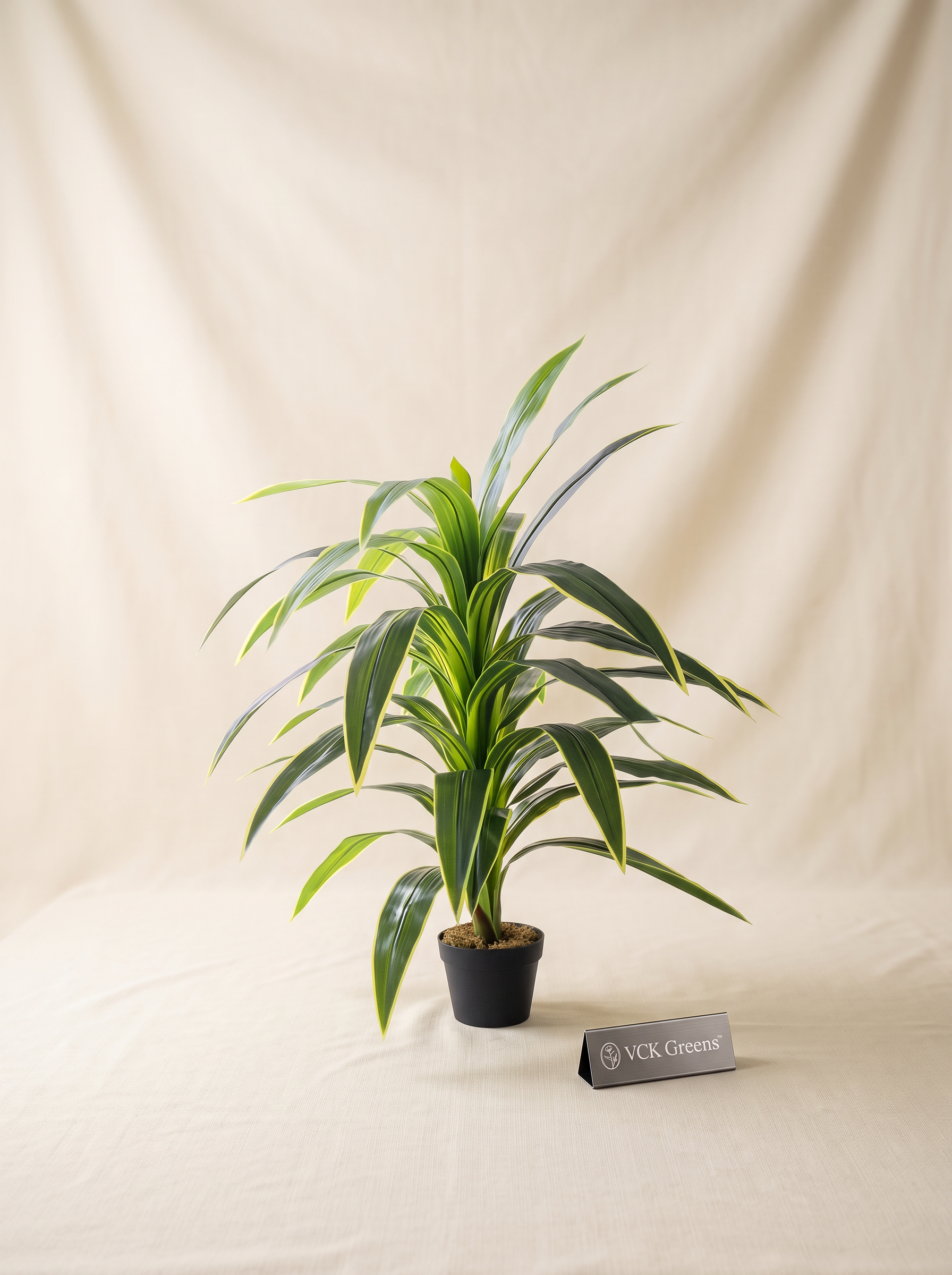 Artificial Variegated Dracaena Plant 4ft