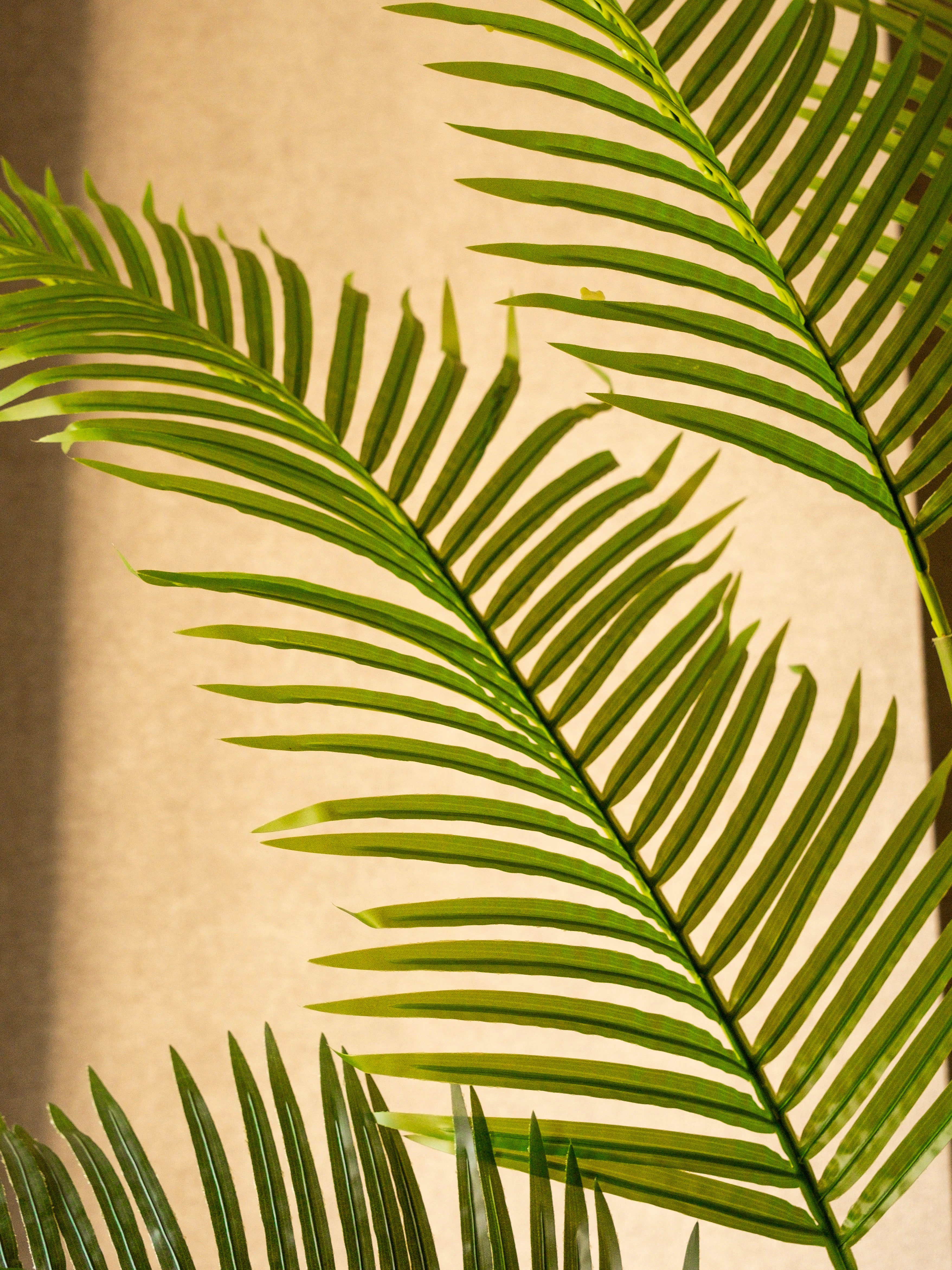 Artificial Areca Palm 6ft