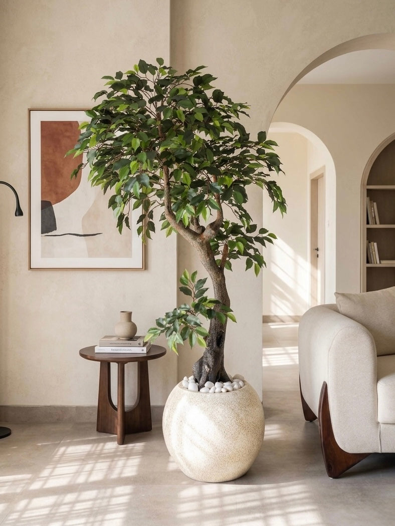 Artificial Ficus Bonsai Tree 6.3ft