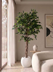 Artificial Green Ficus Plant 5ft