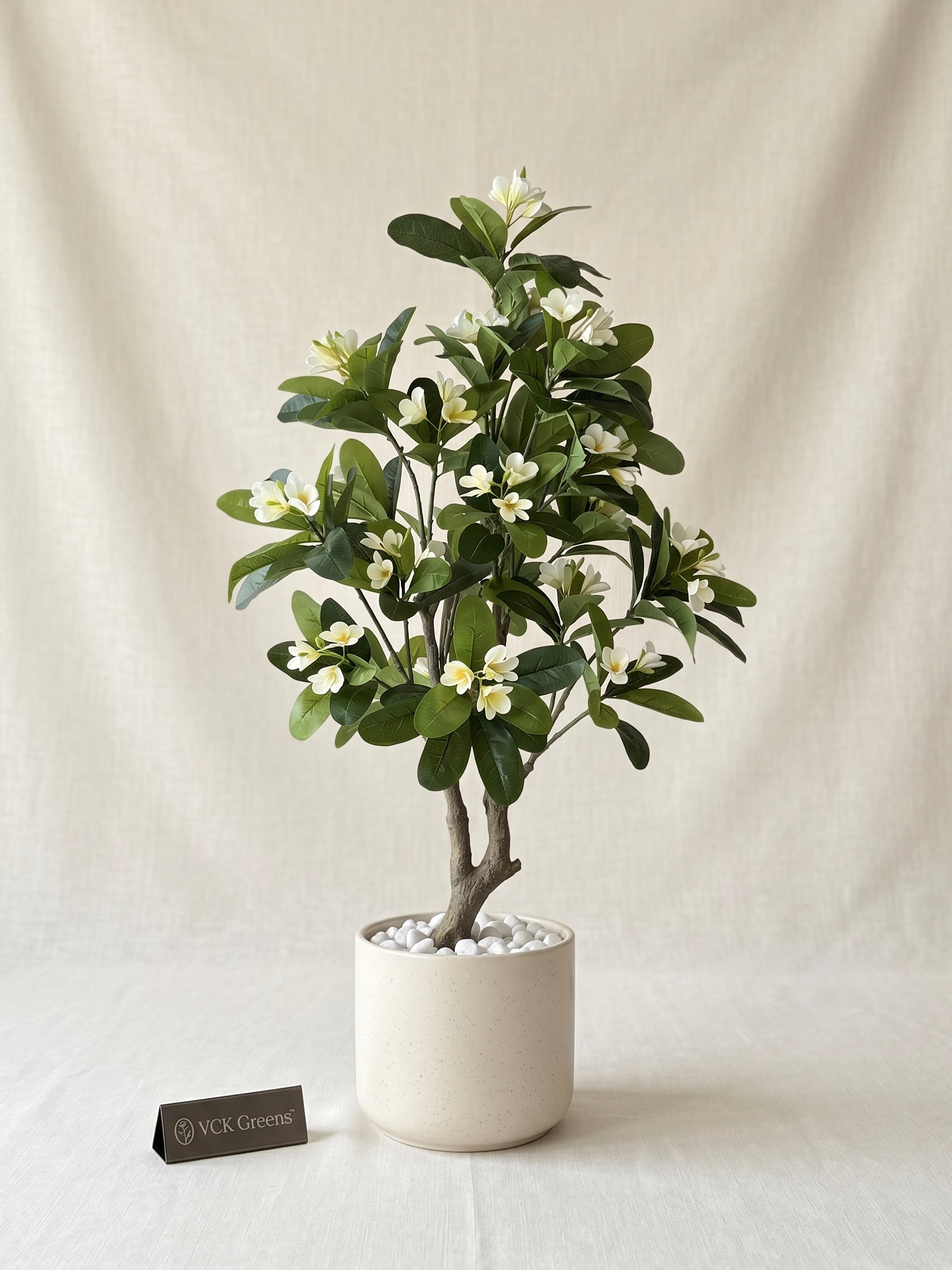 Artificial Frangipani Flower Plant 5ft