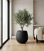 Black Luna Textured Planter