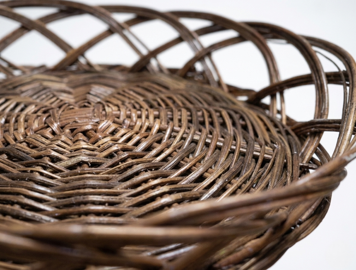 Handwoven Natural Willow Round Decorative Basket